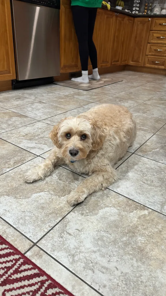 1779063760767 ypugvt IMG 1778