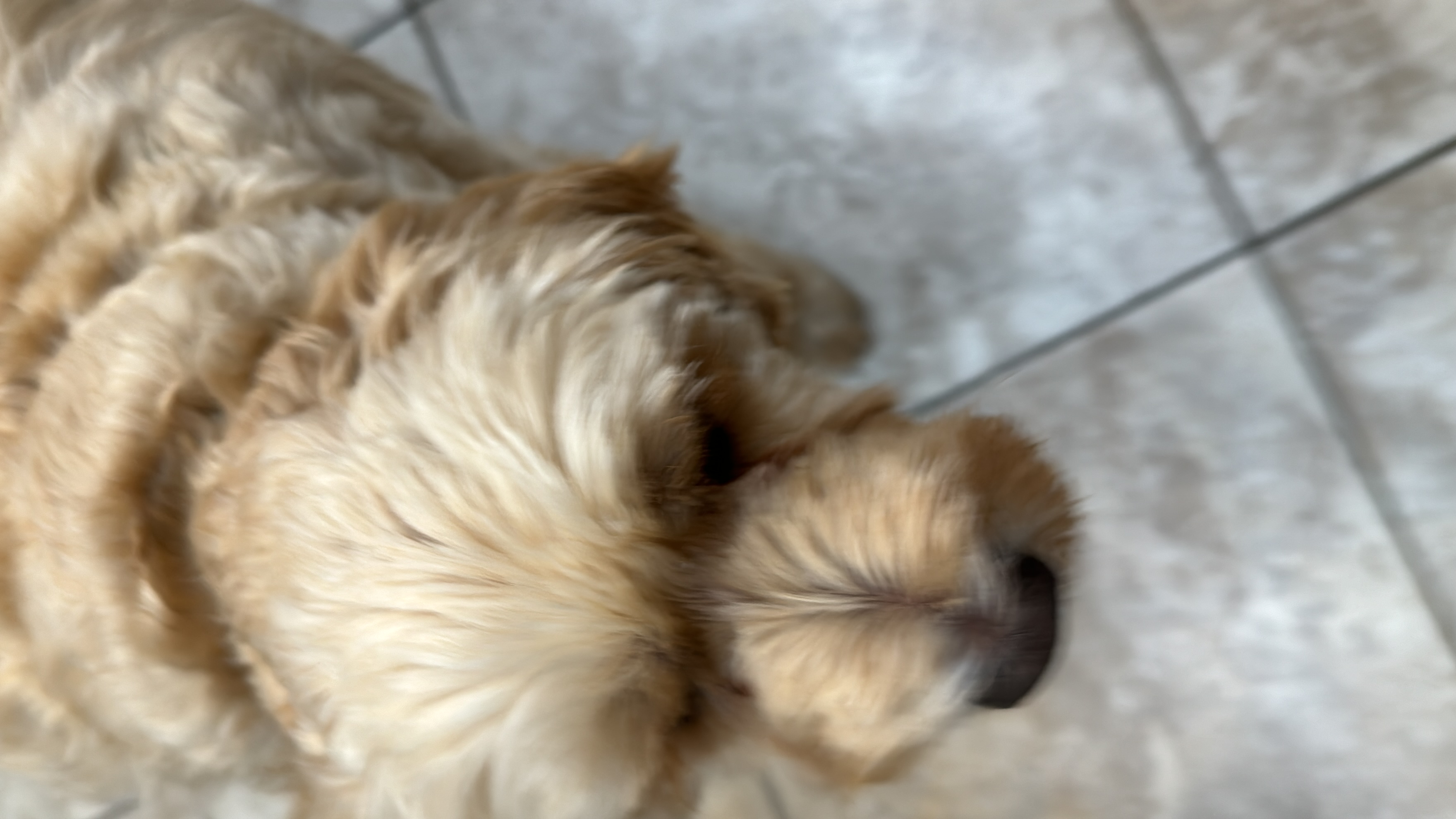 1779063765809 ywbjli IMG 0969 1 