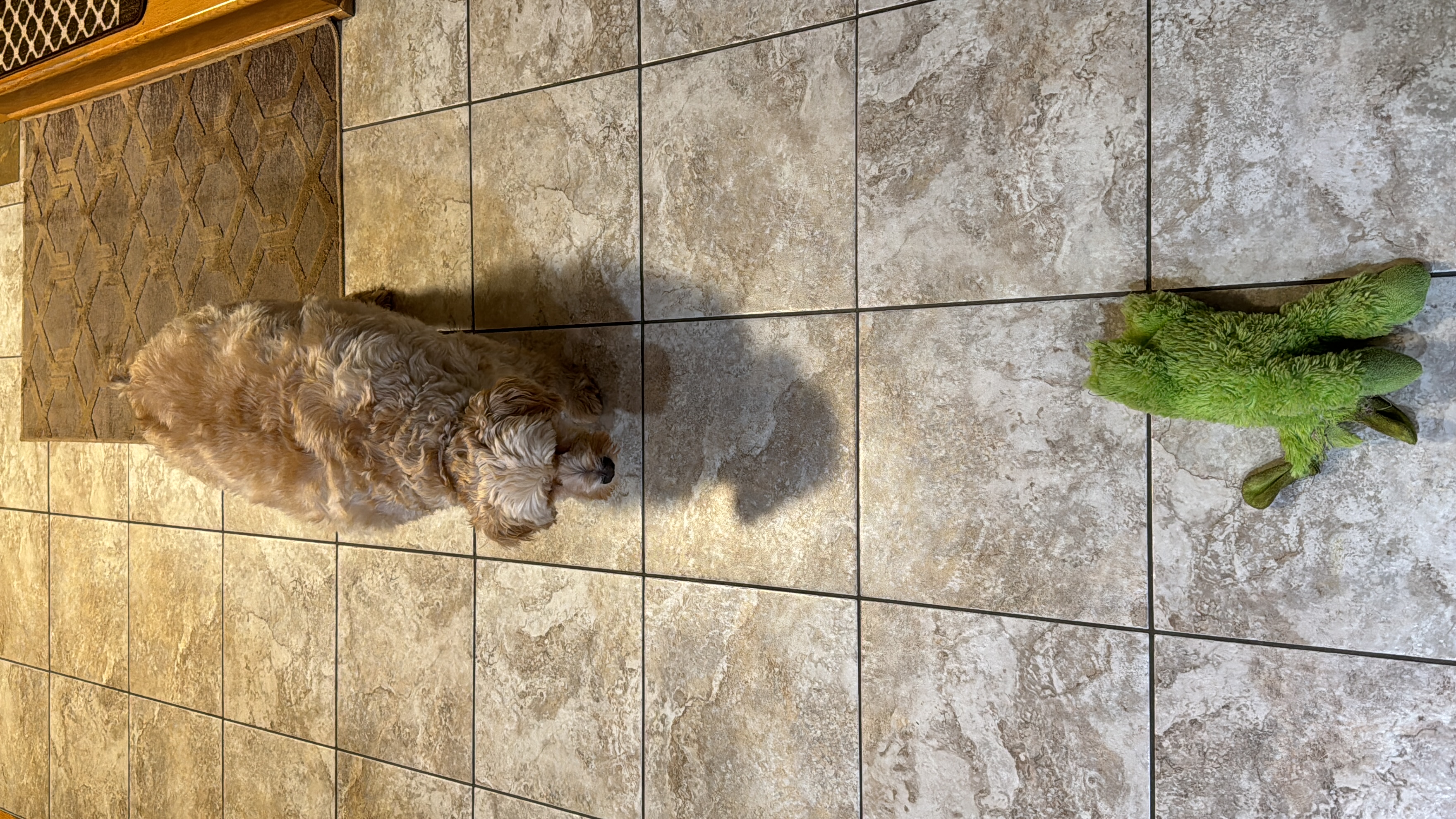 1779063772346 0c15ol IMG 1090