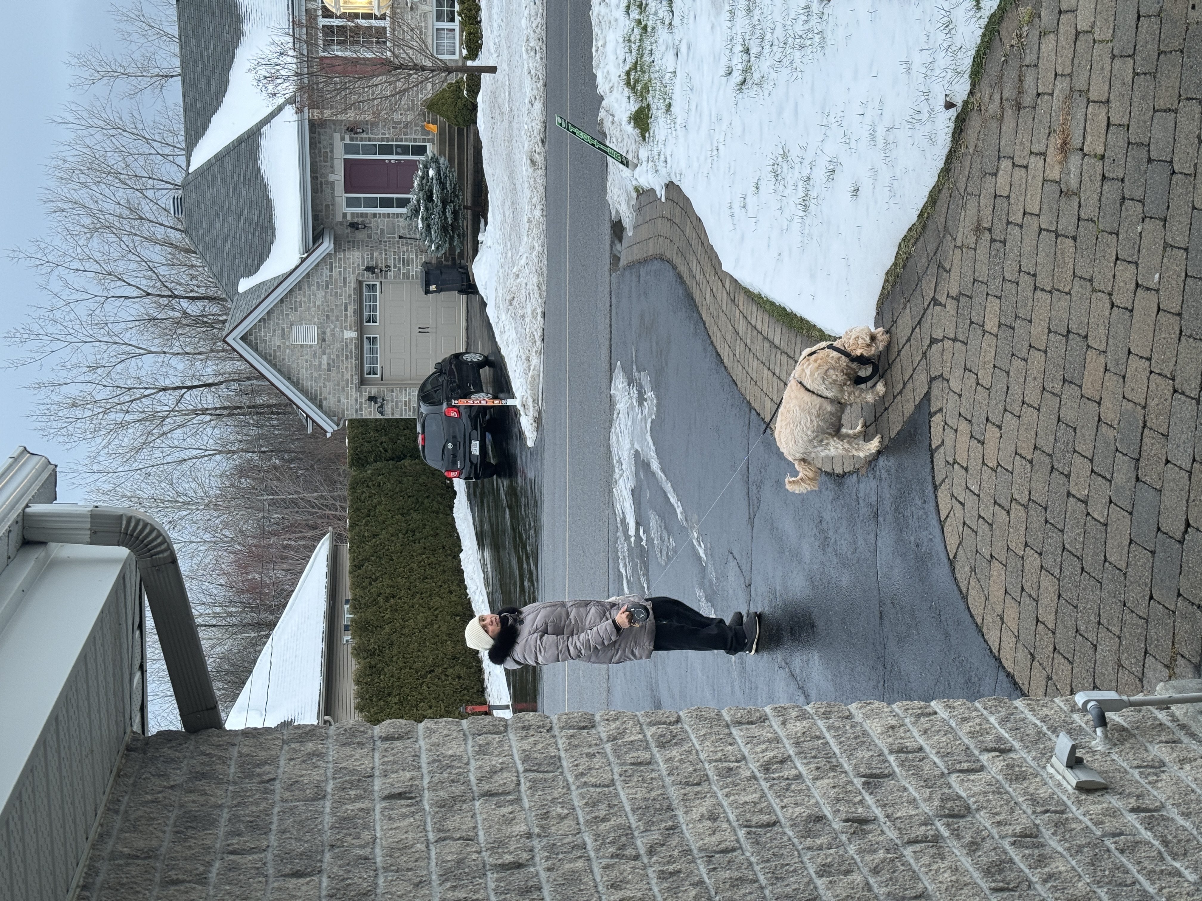1779063772531 mezck6 IMG 0928 1 