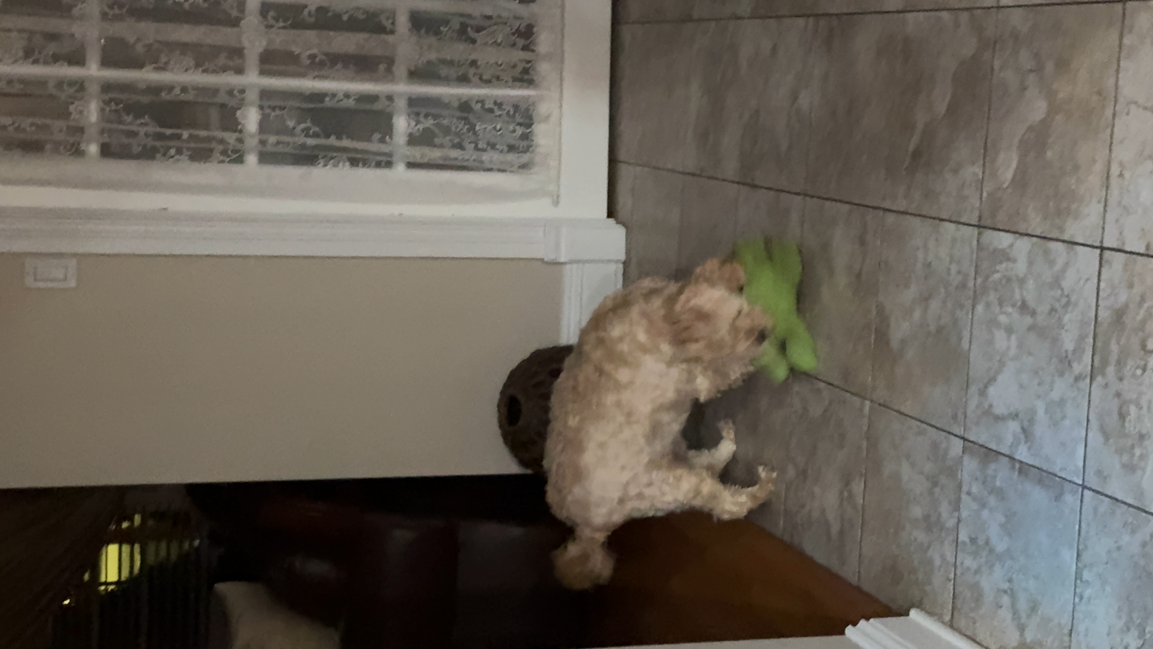 1779063778659 hfqs2x IMG 1804