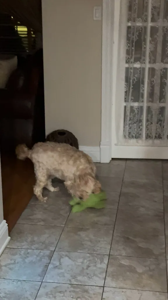 1779063778659 hfqs2x IMG 1804