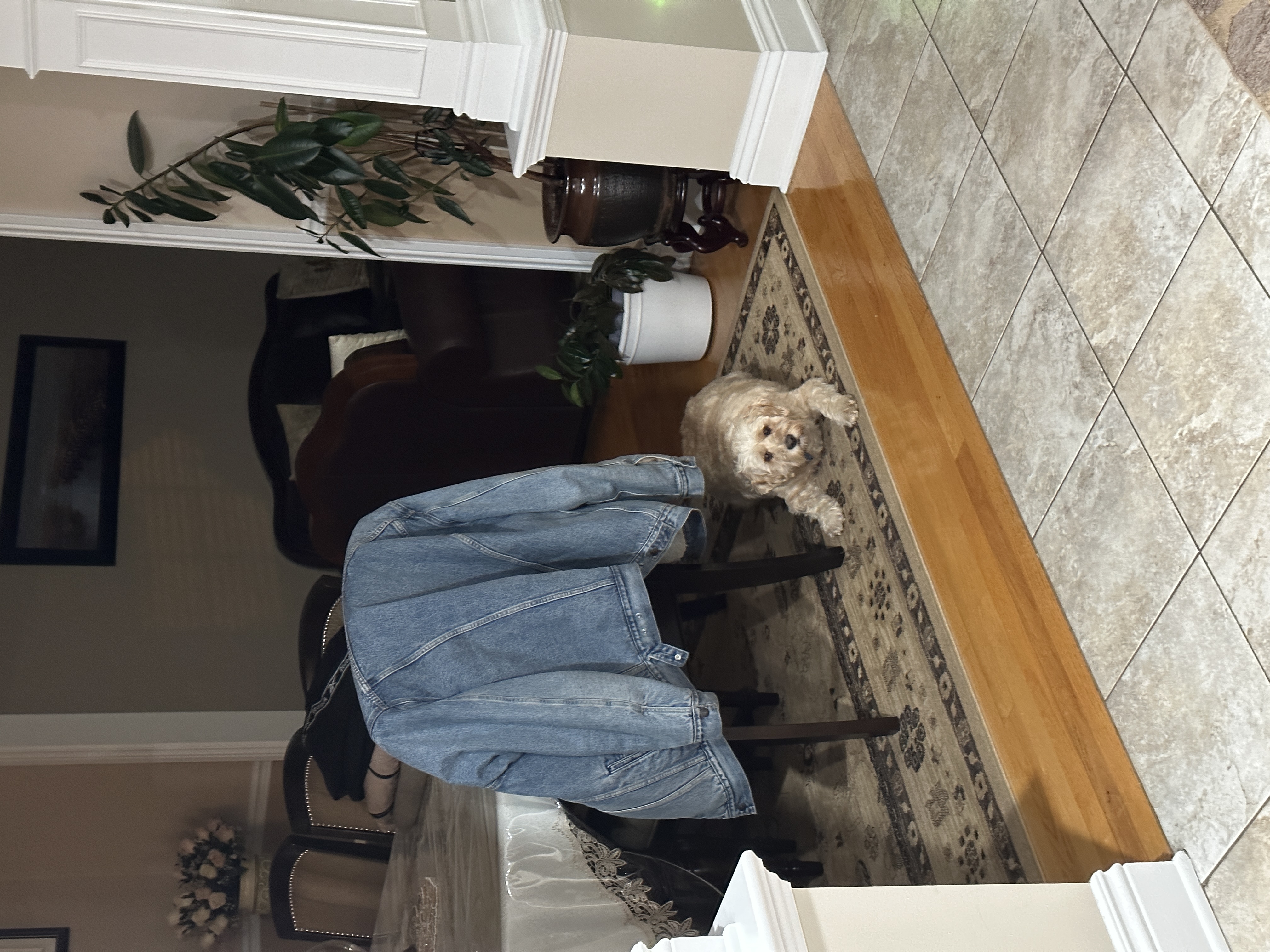 1779063778977 qcffty IMG 0170