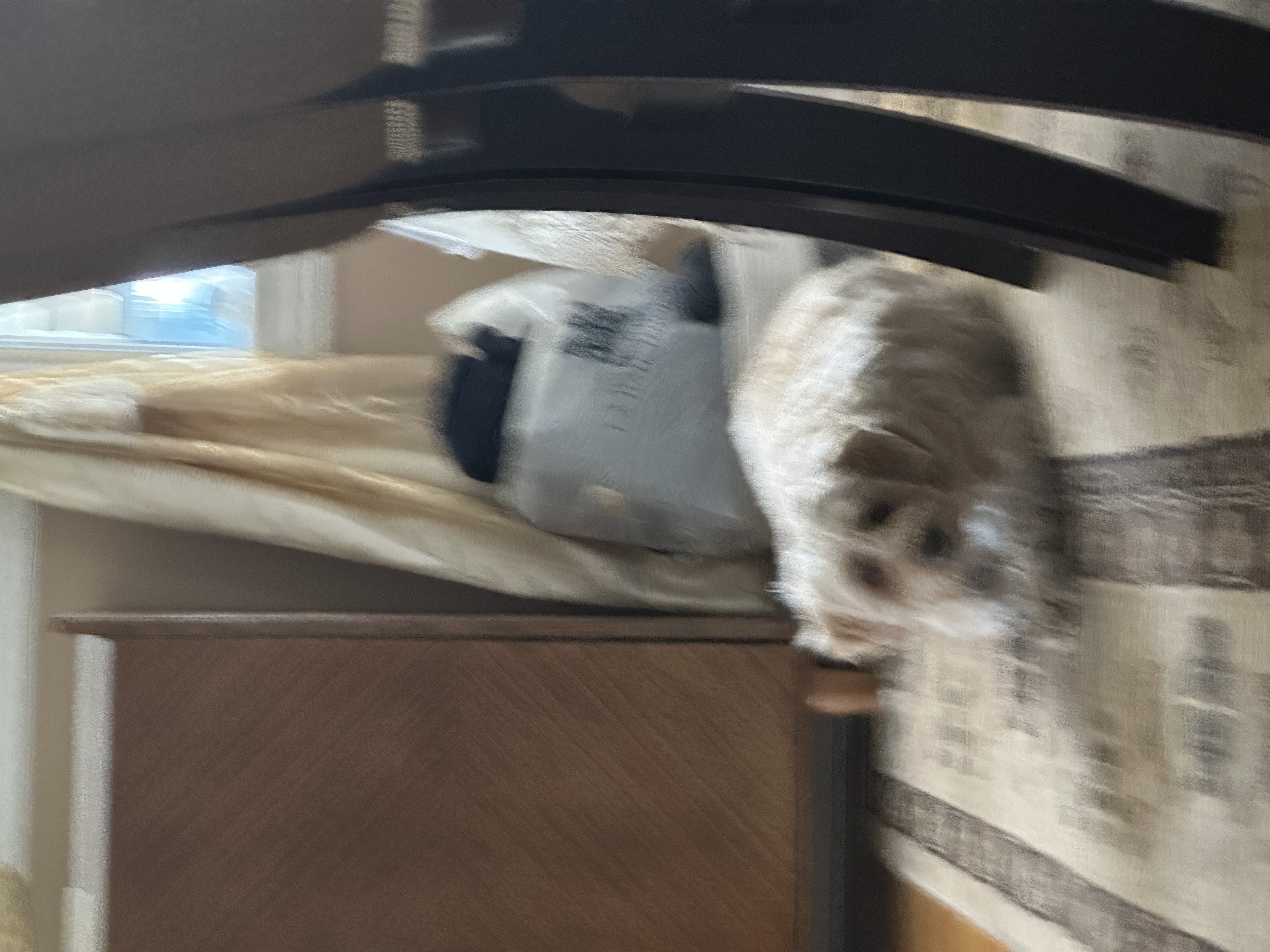 1779063780926 m2eou9 IMG 0091