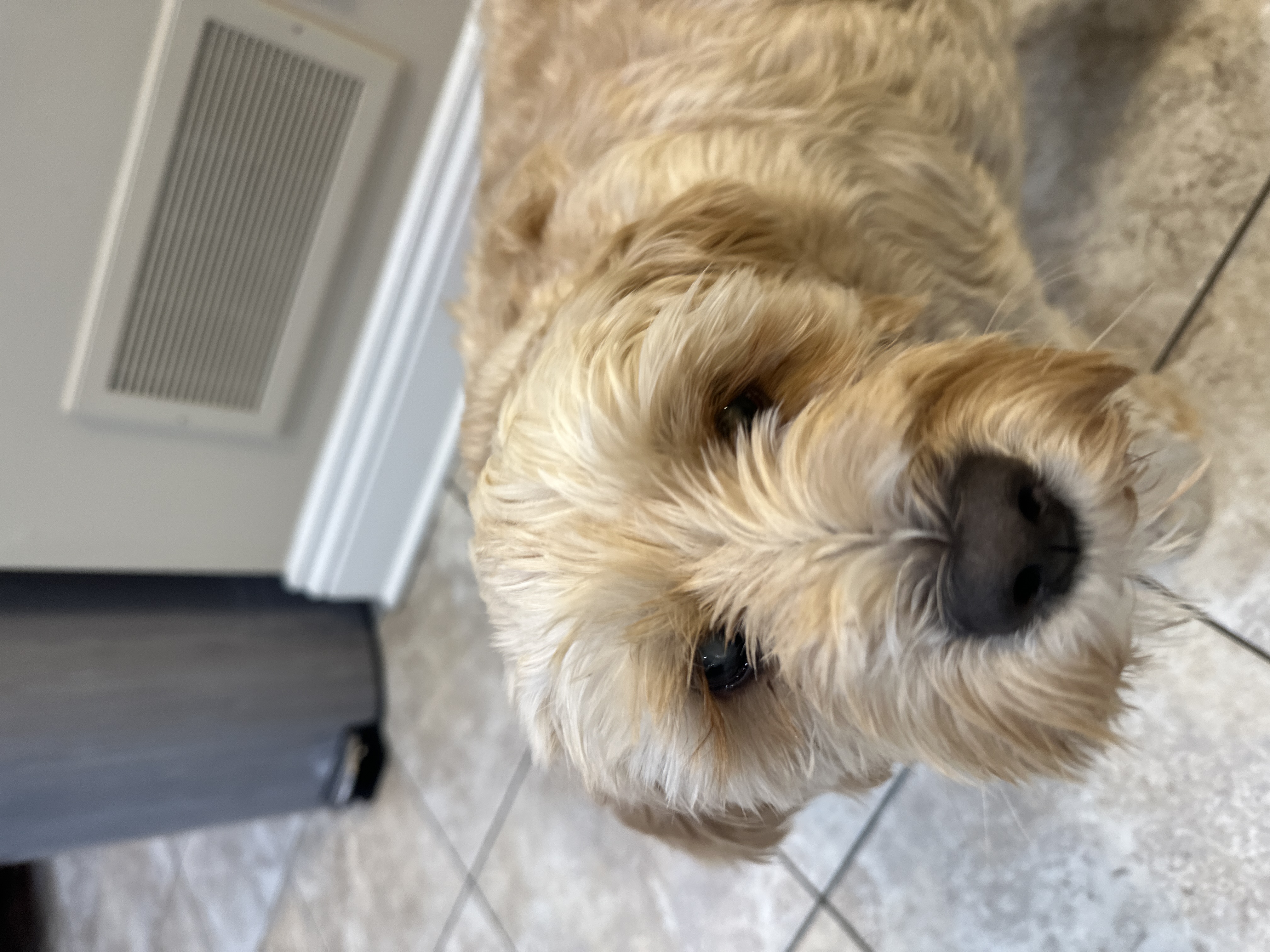 1779063794437 bzxwft IMG 8967 1 