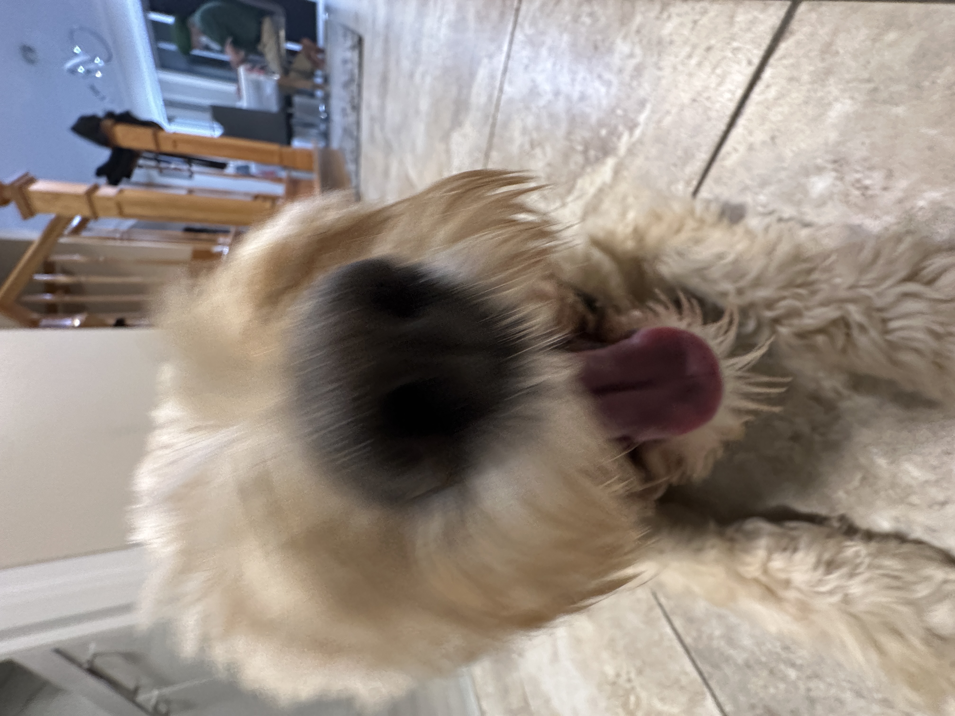 1779063798837 odn46v IMG 8793 1 