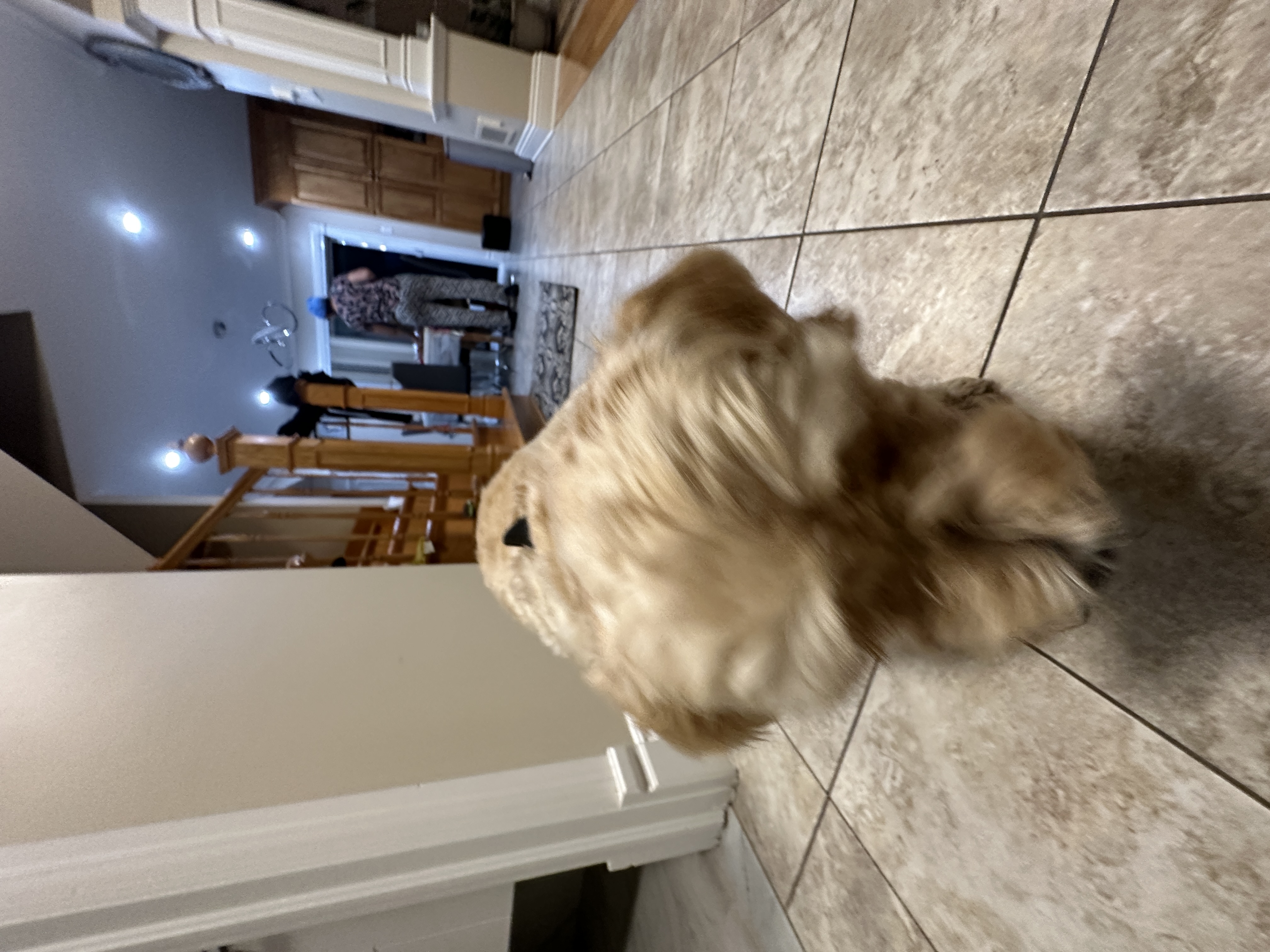 1779063799085 icoi5c IMG 8787