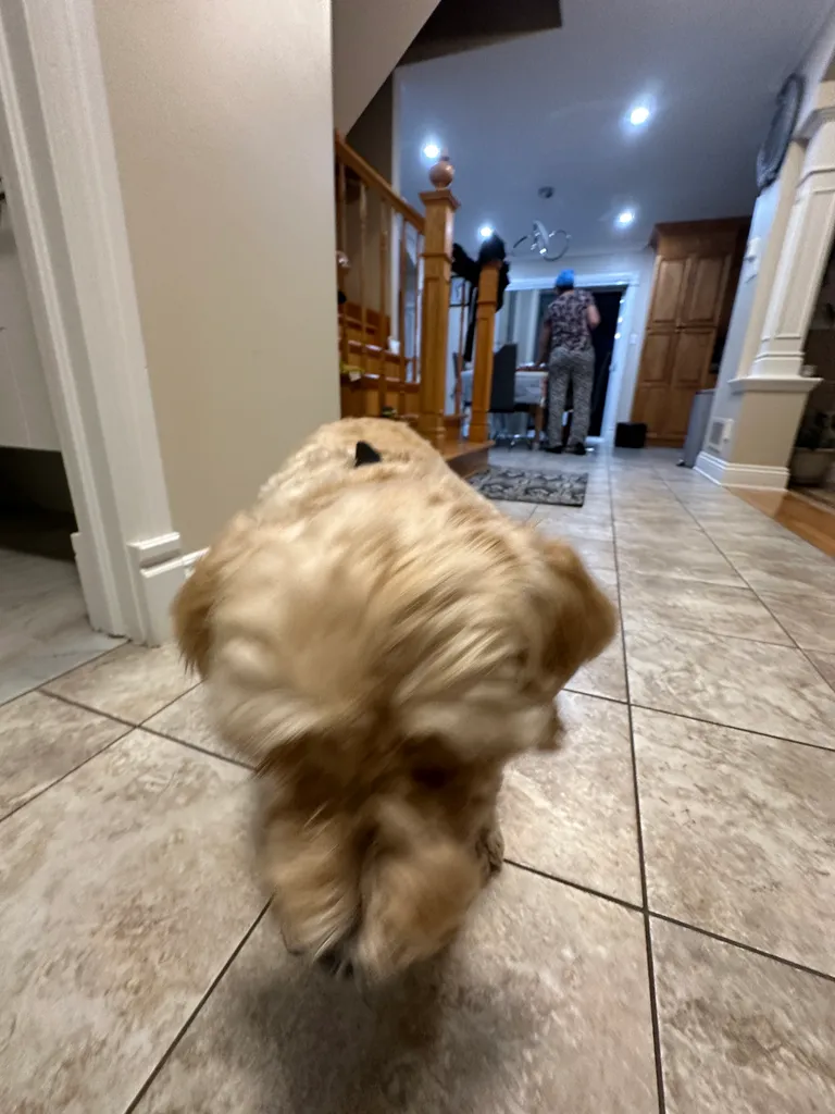 1779063799085 icoi5c IMG 8787