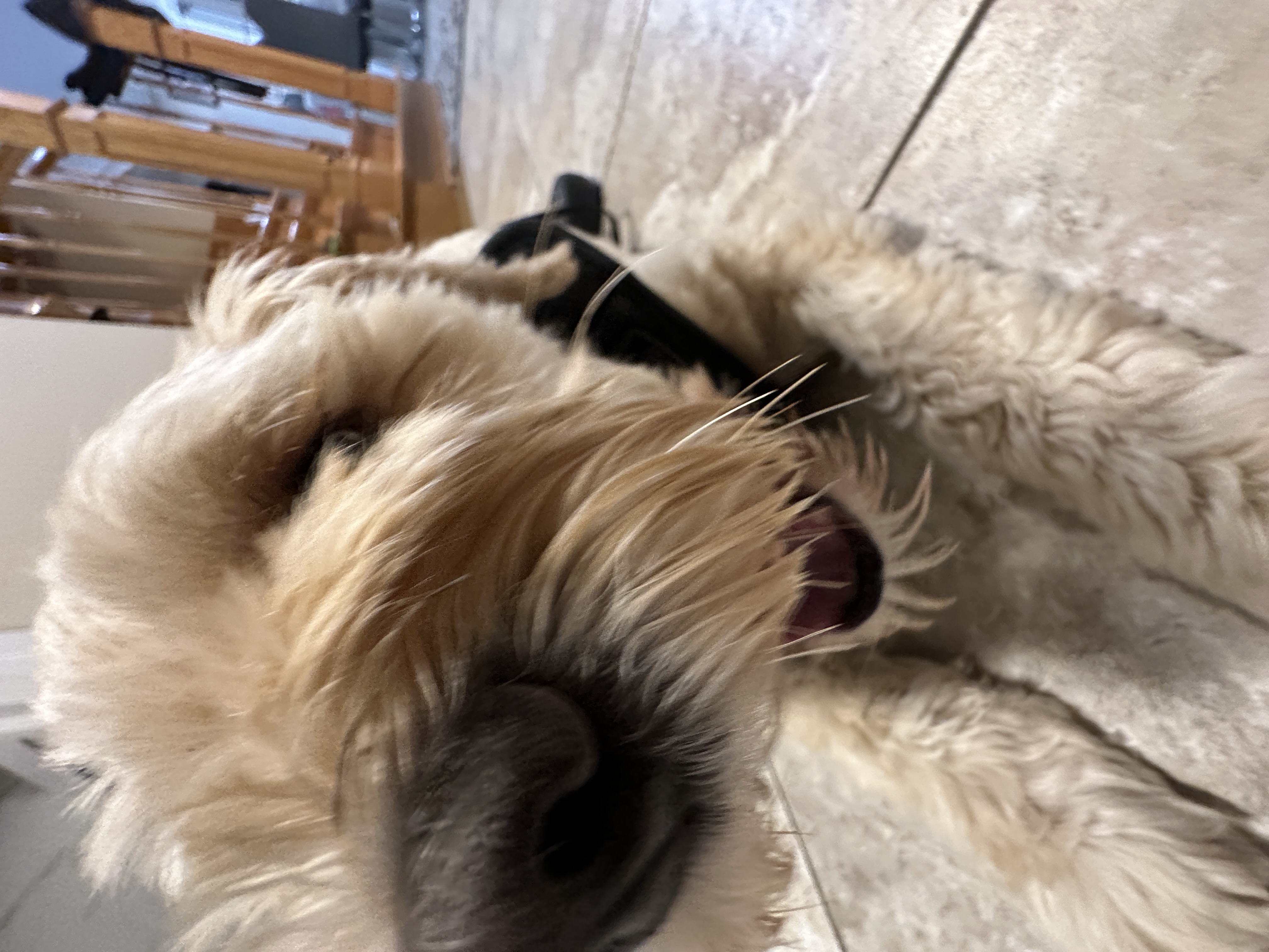 1779063802320 xzct5x IMG 8792 1 