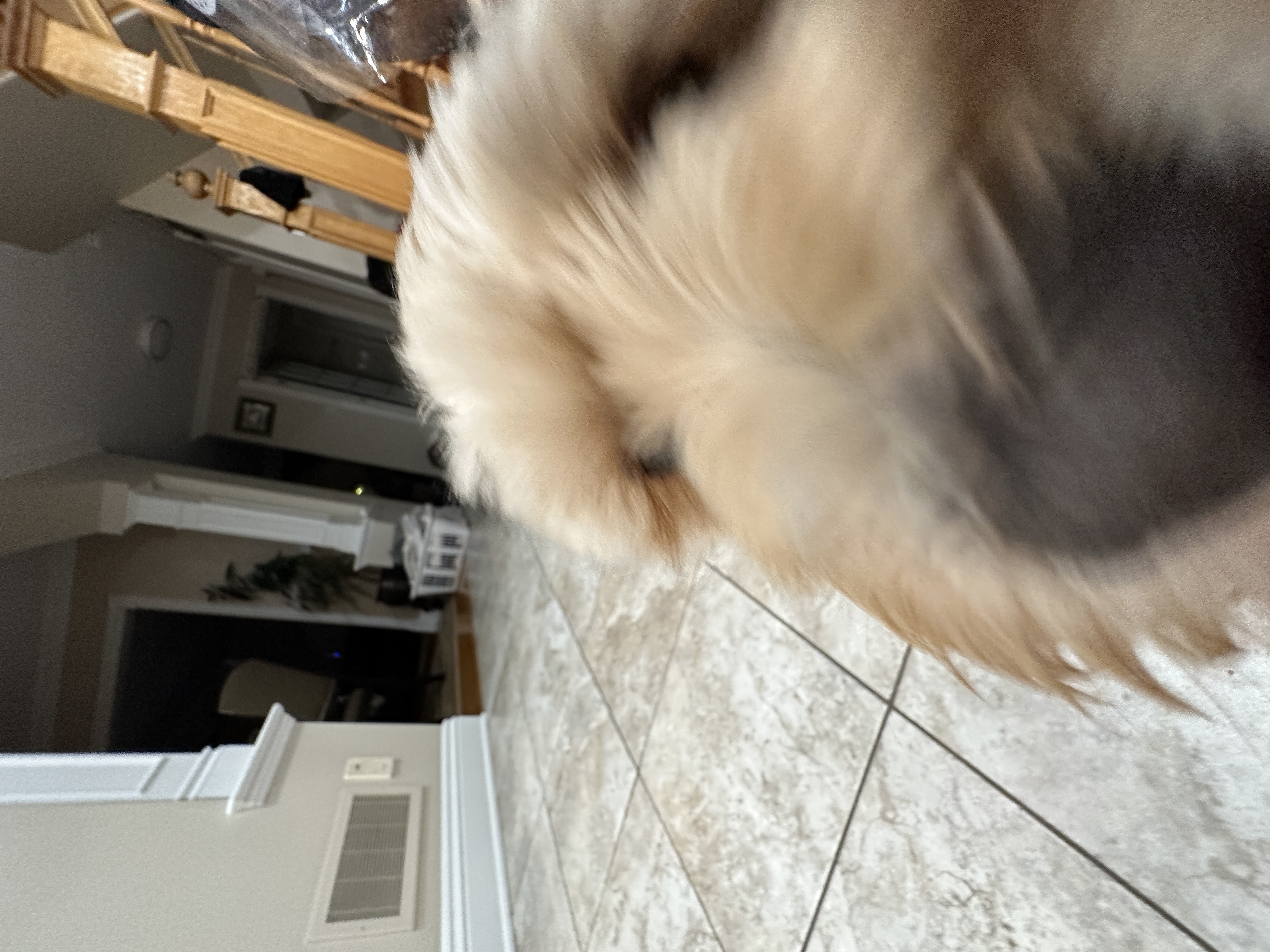1779063802593 cxrhs1 IMG 8724