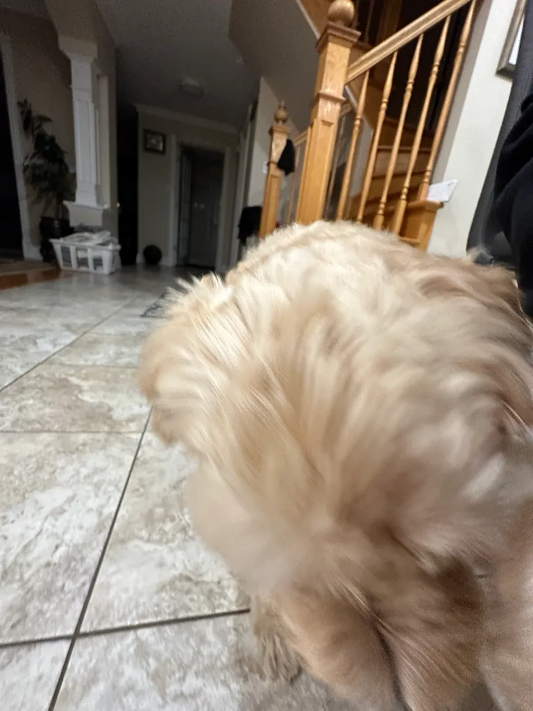 1779063802648 zddyhy IMG 8727