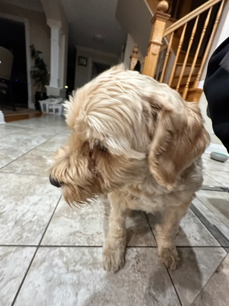 1779063804086 vgjrsp IMG 8726