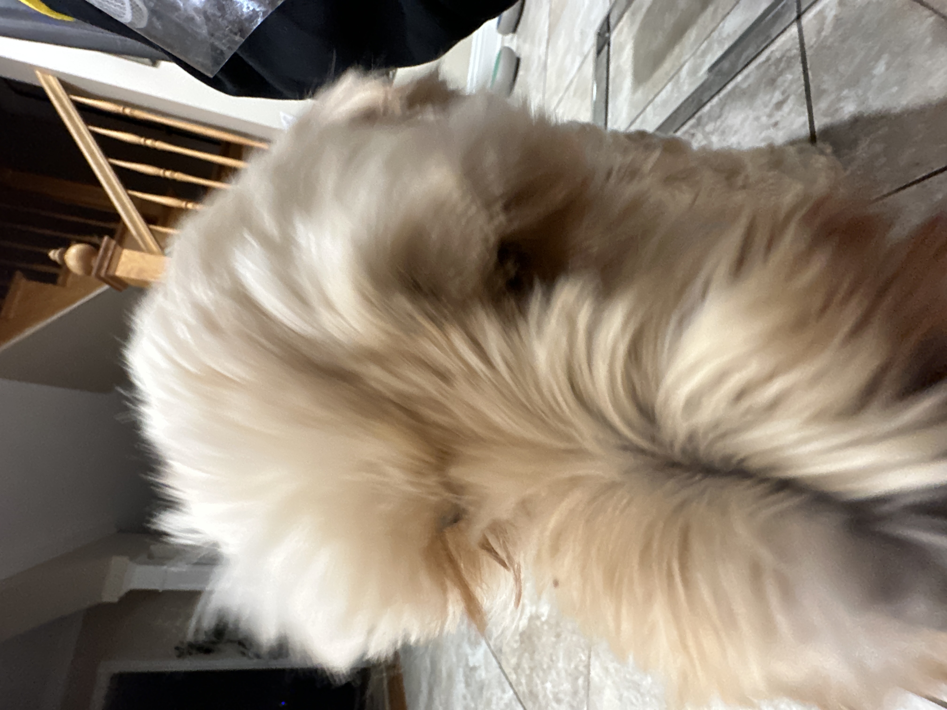 1779063804563 3gdk6q IMG 8729