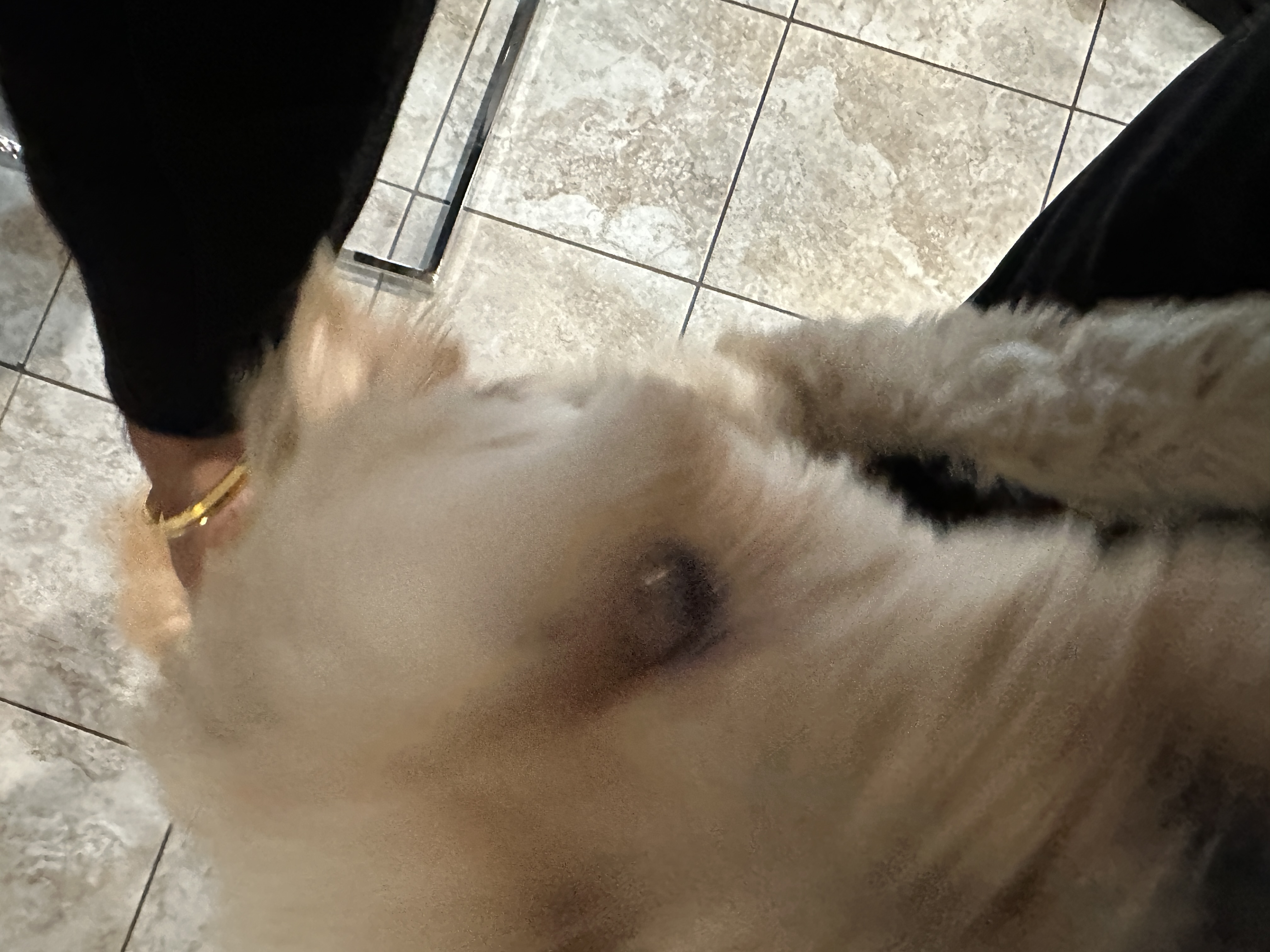 1779063805525 6vpb70 IMG 8385