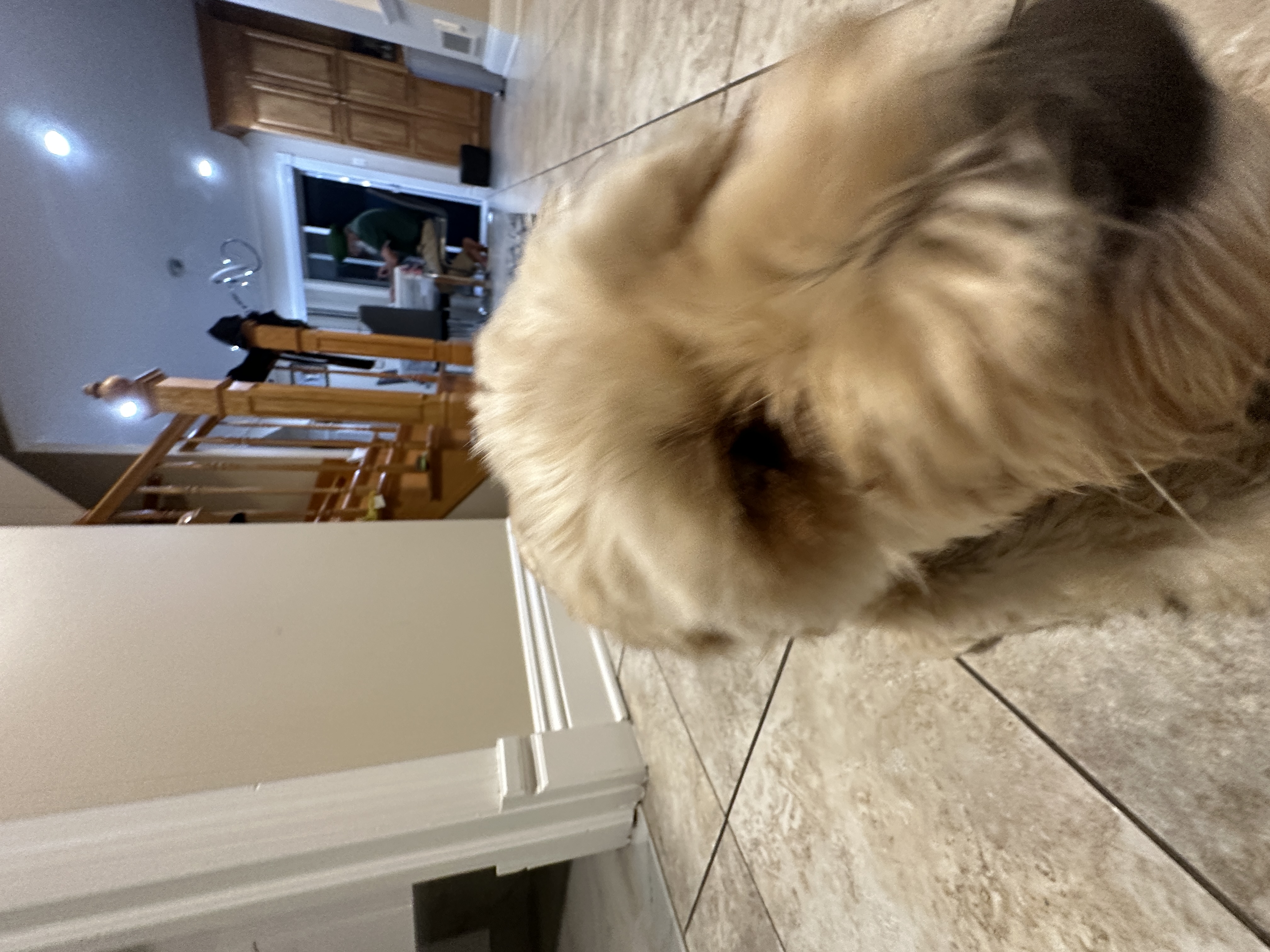 1779063806608 9jja5t IMG 8788 1 