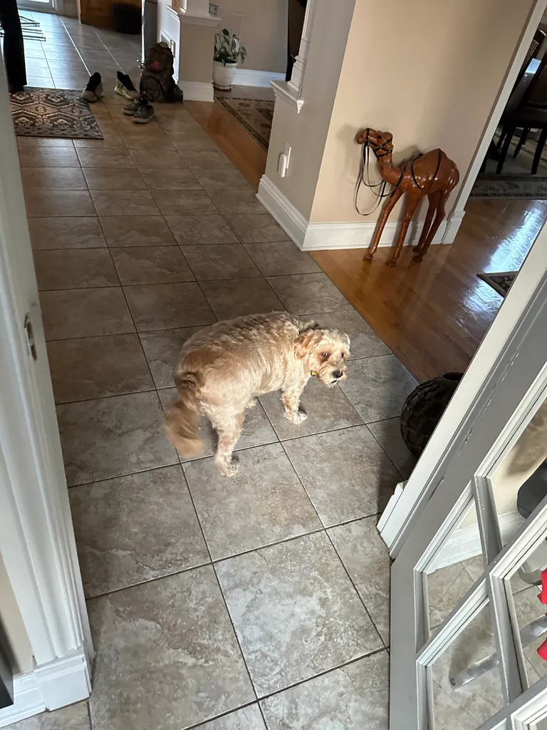 1779063806745 36dt2v IMG 8369