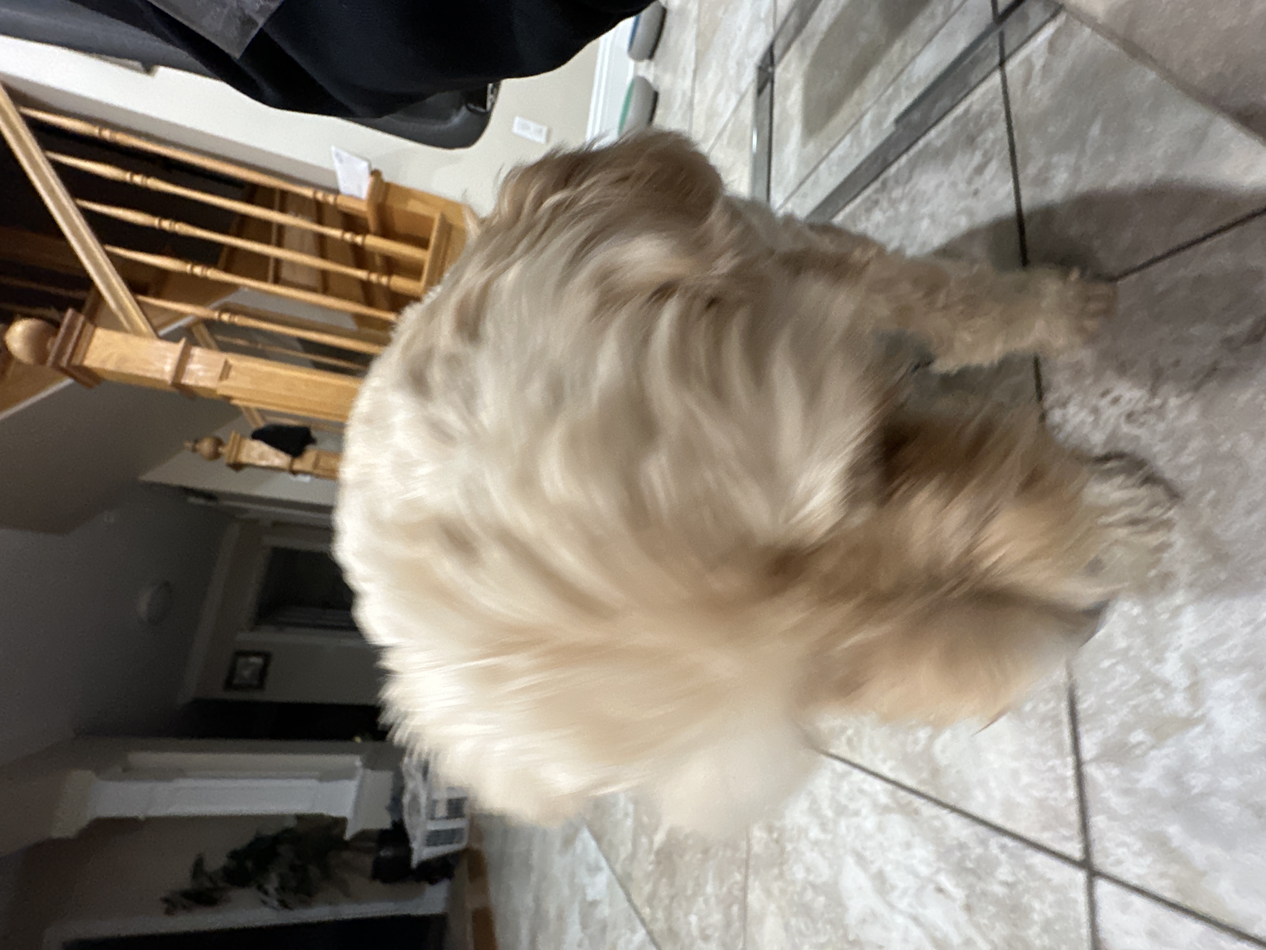 1779063807896 qflbsc IMG 8728