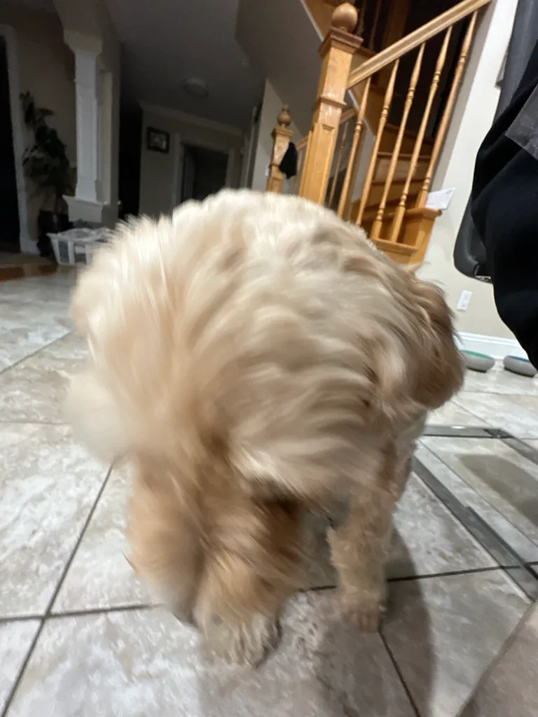 1779063807896 qflbsc IMG 8728