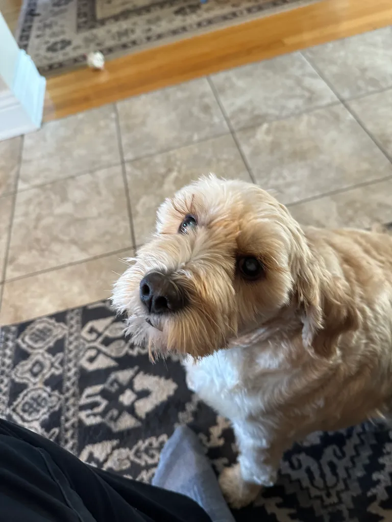1779063808697 zuwkie IMG 8338