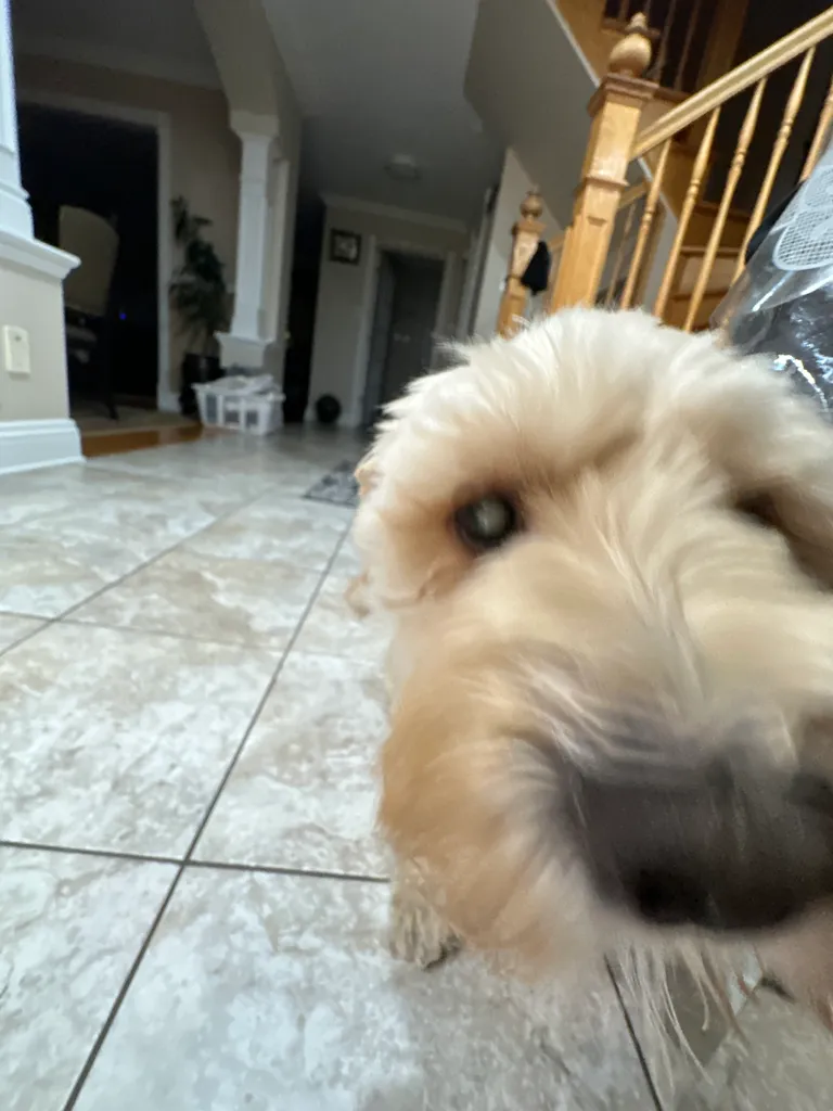 1779063810094 4rrtv3 IMG 8733