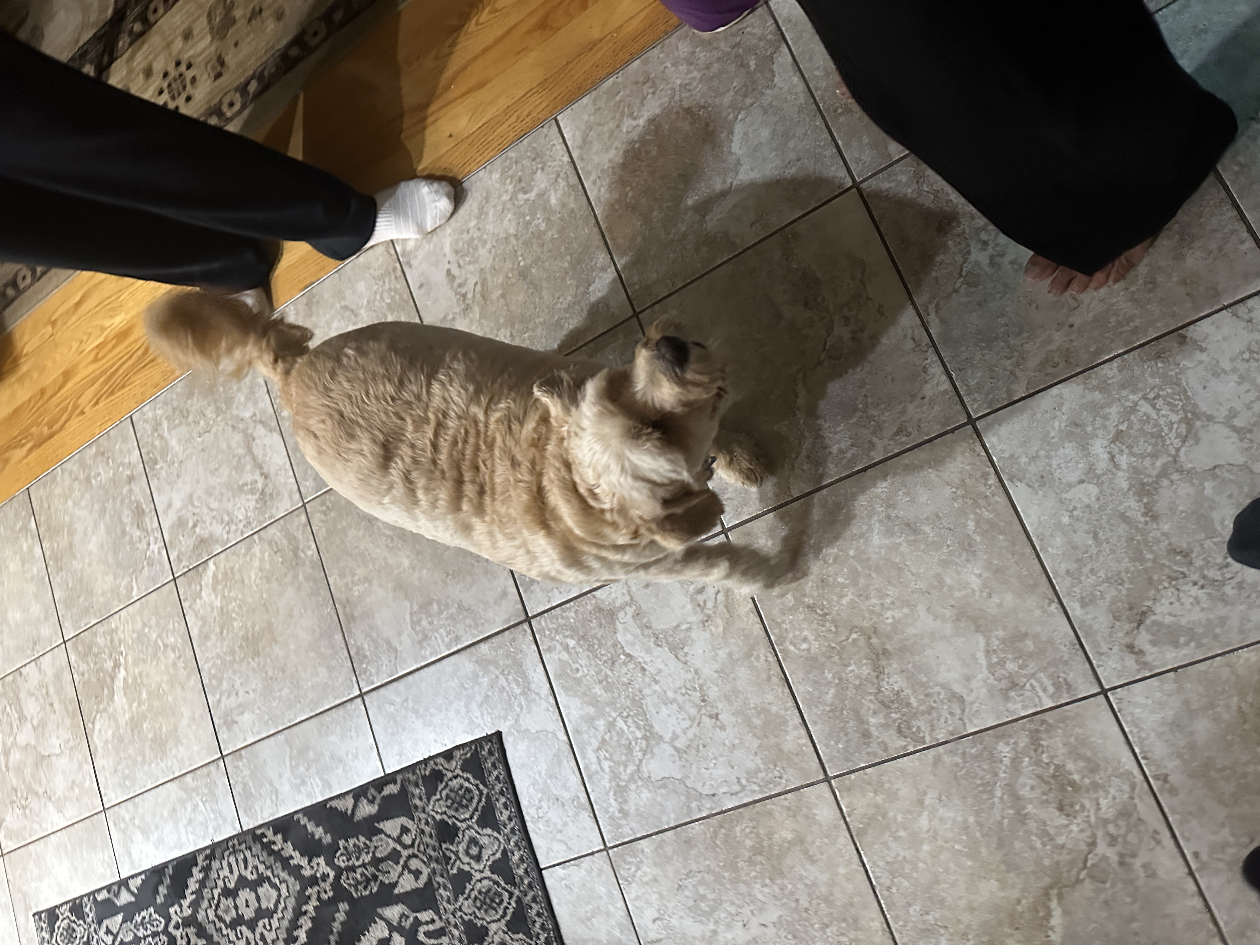 1779063813535 yheuzf IMG 8074
