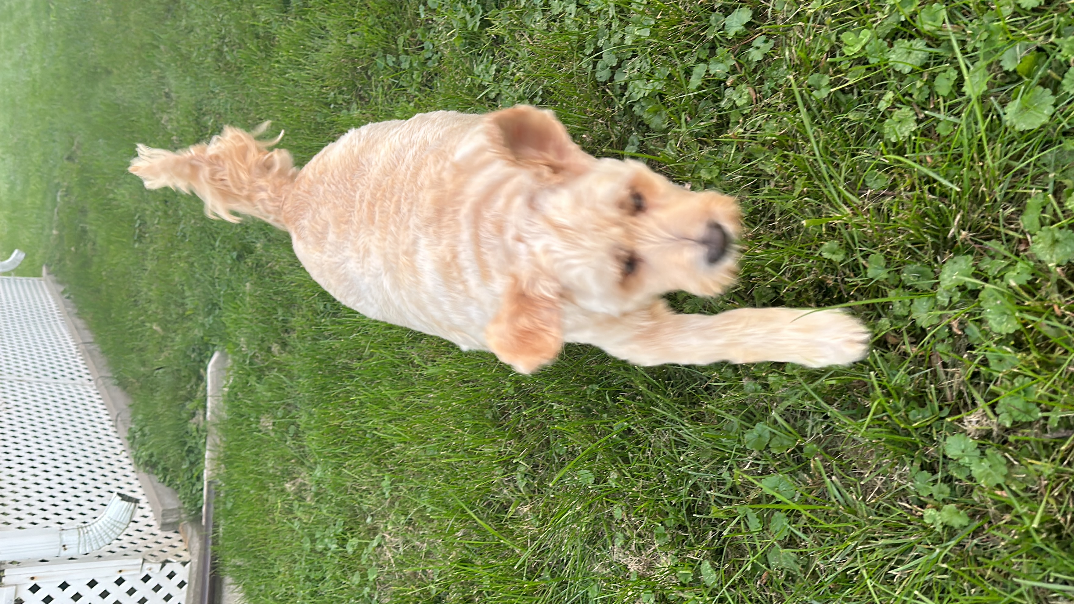1779063813934 o8nyce IMG 8151 1 