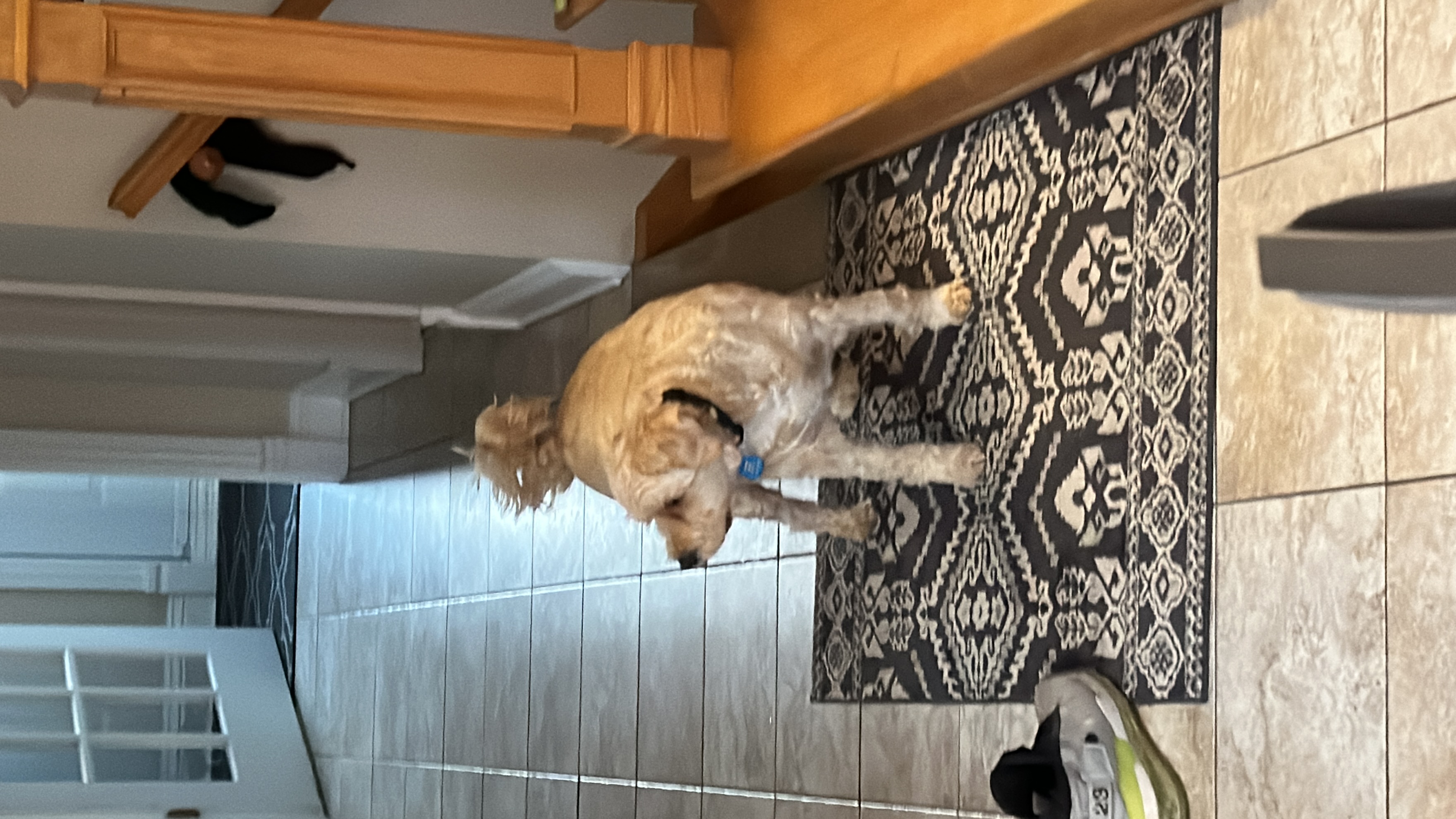 1779063814851 vnj7od IMG 8380