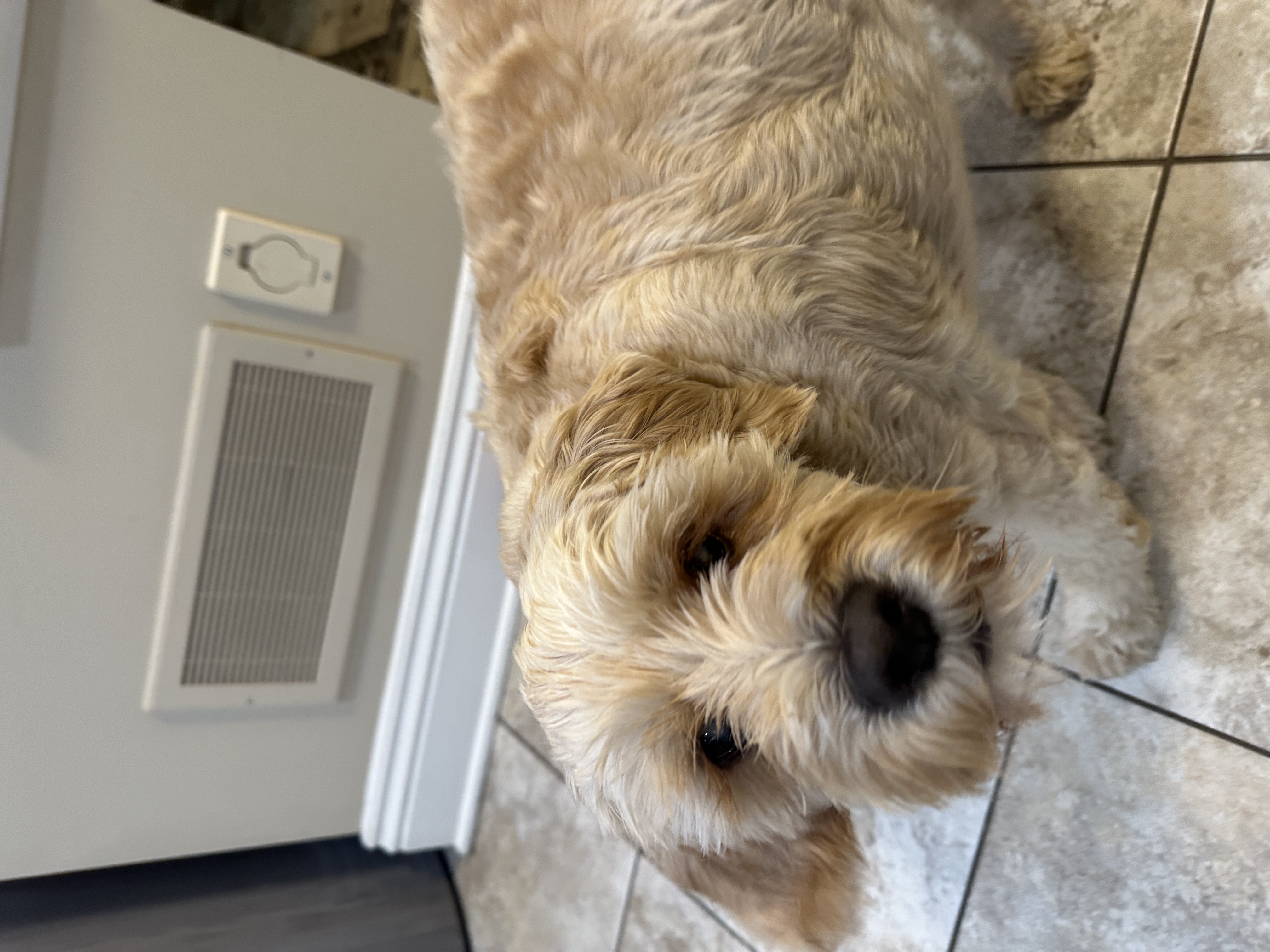 1779063816582 ydbqph IMG 8963 1 