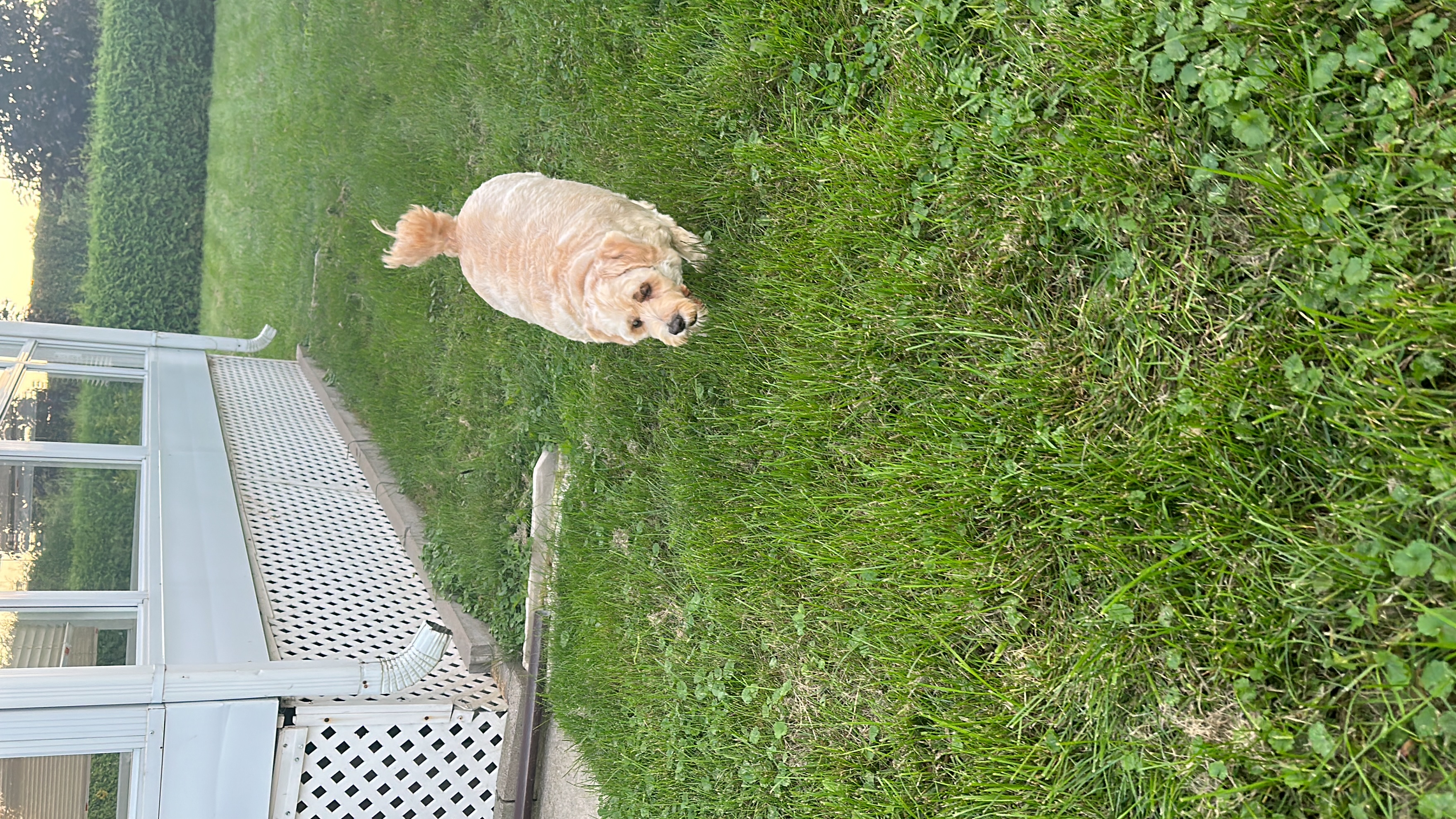 1779063816695 sso90b IMG 8150