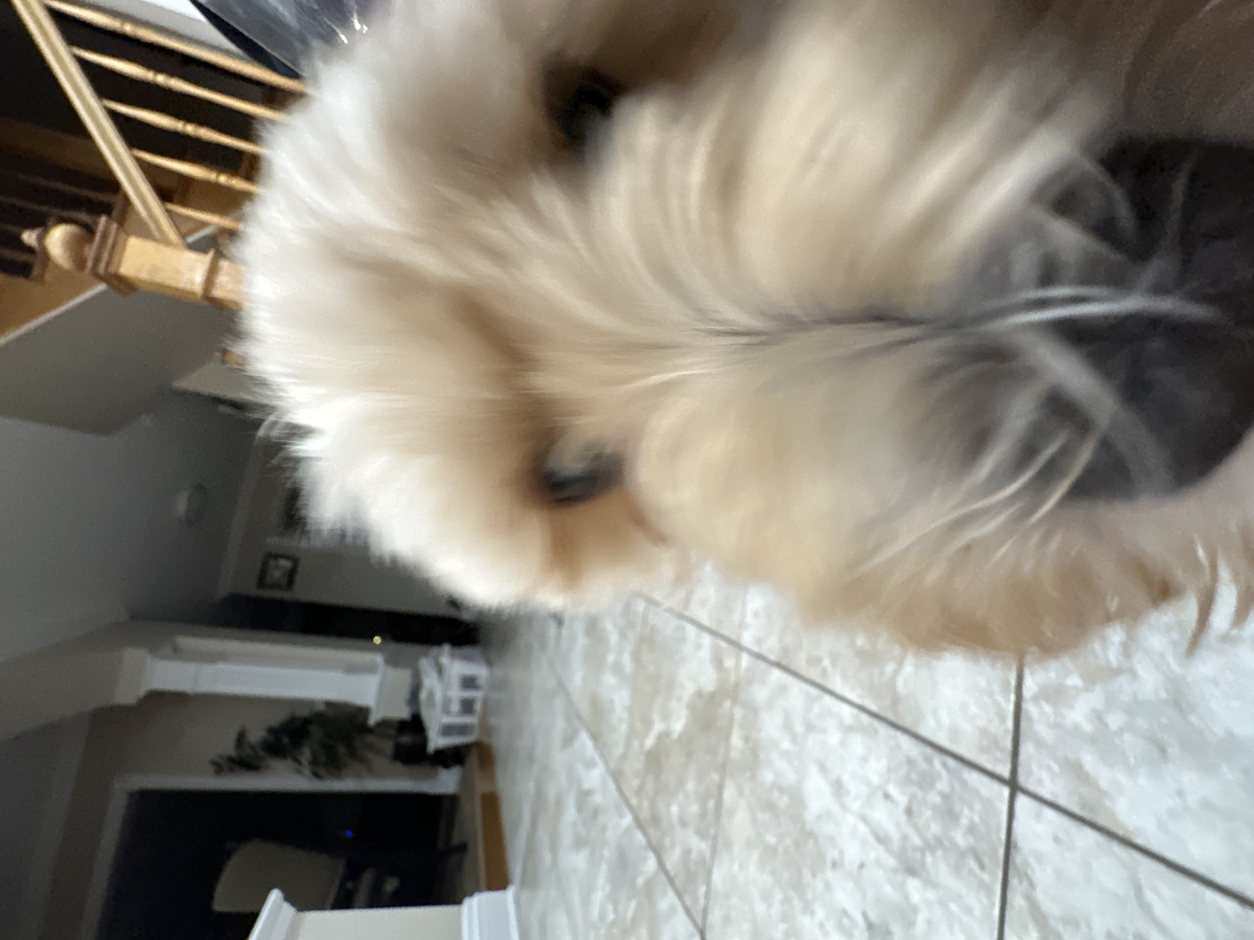 1779063818016 zjdqgb IMG 8731