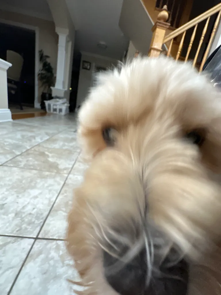 1779063818016 zjdqgb IMG 8731