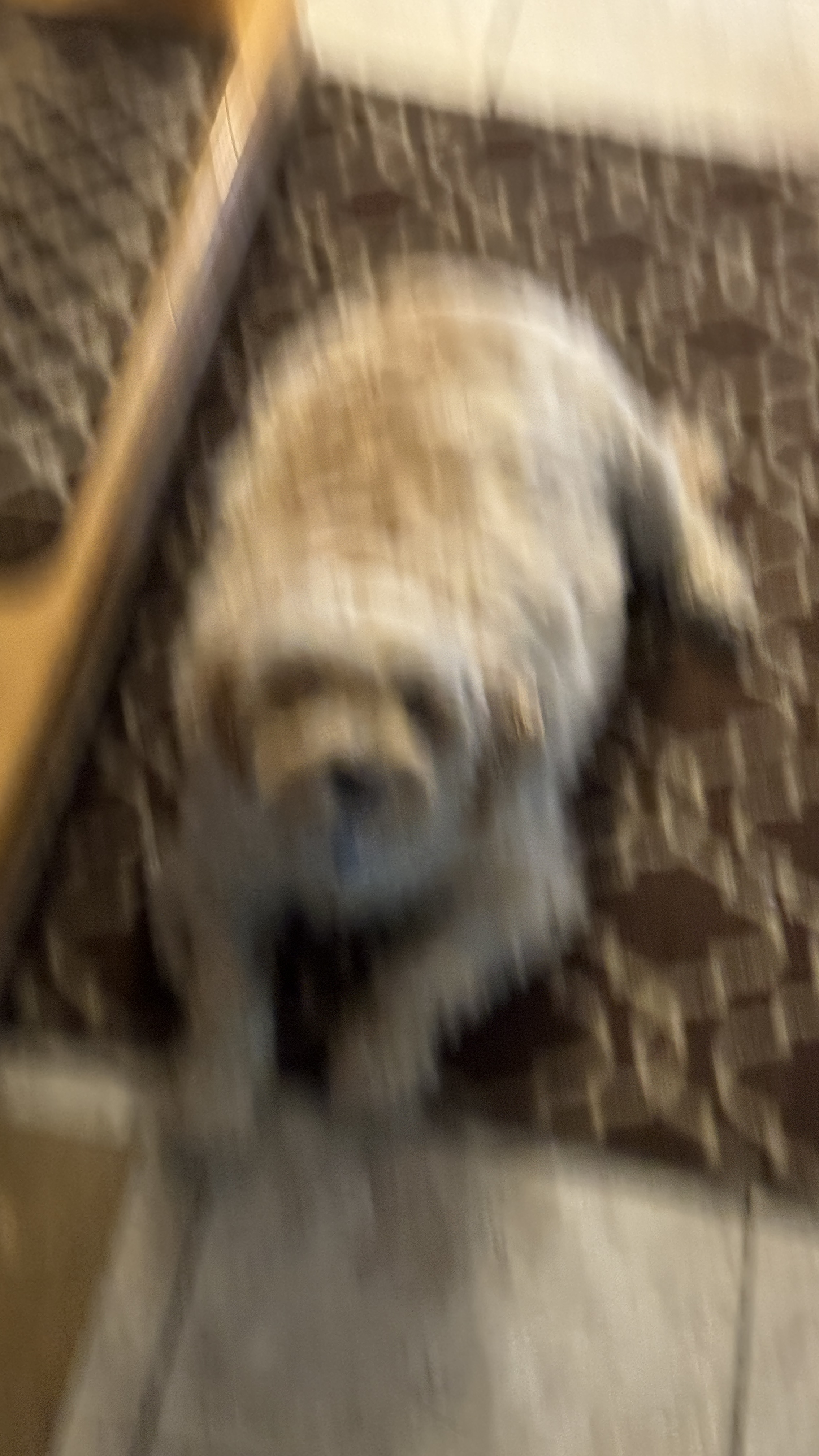1779063835837 8y2uvb IMG 6978 1 