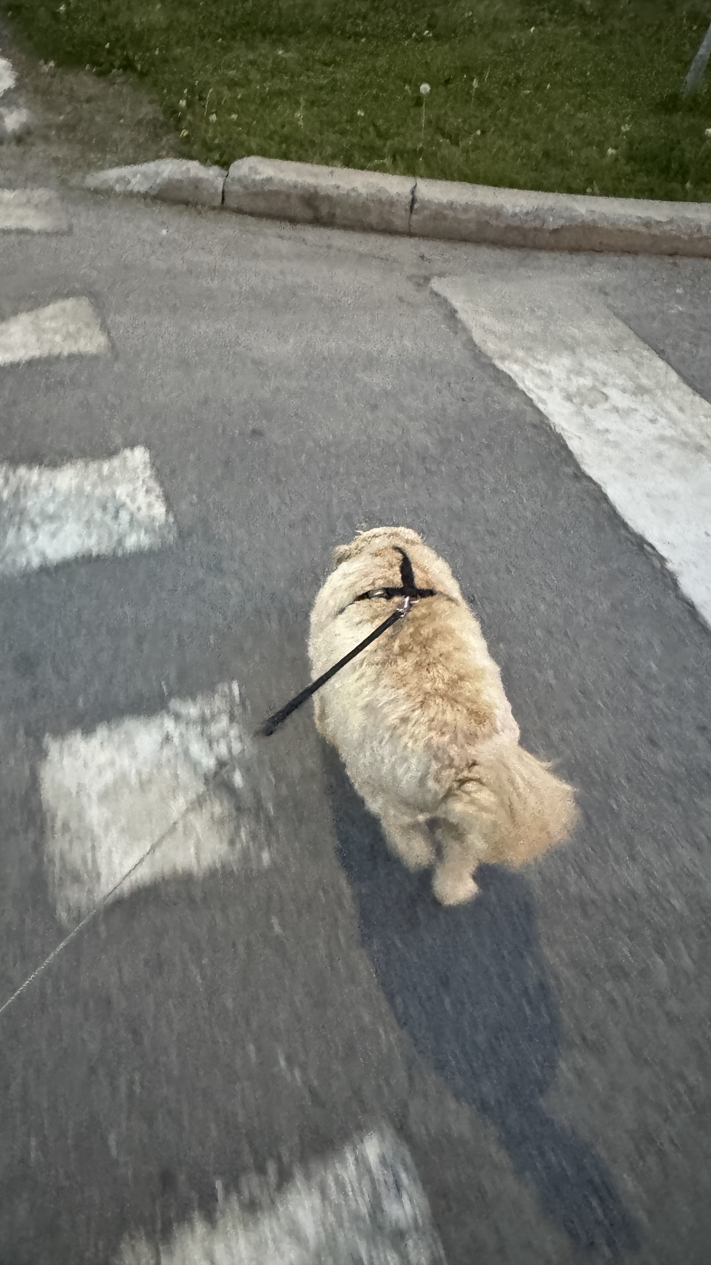 1779063840144 m7p25x IMG 6405 1 