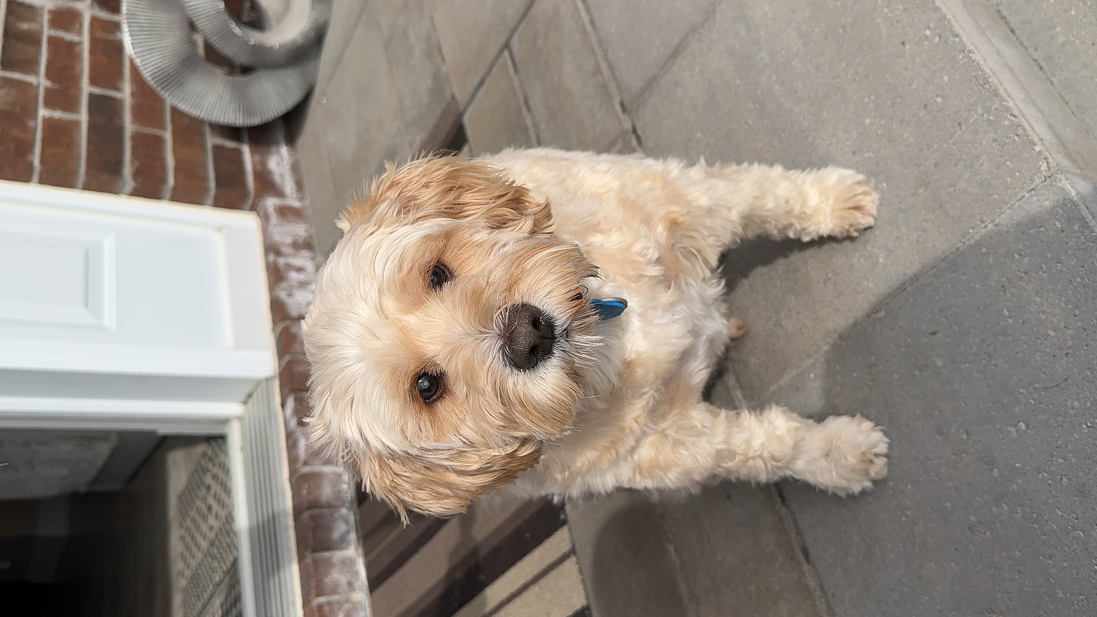 1779063851211 iqo3so IMG 4662