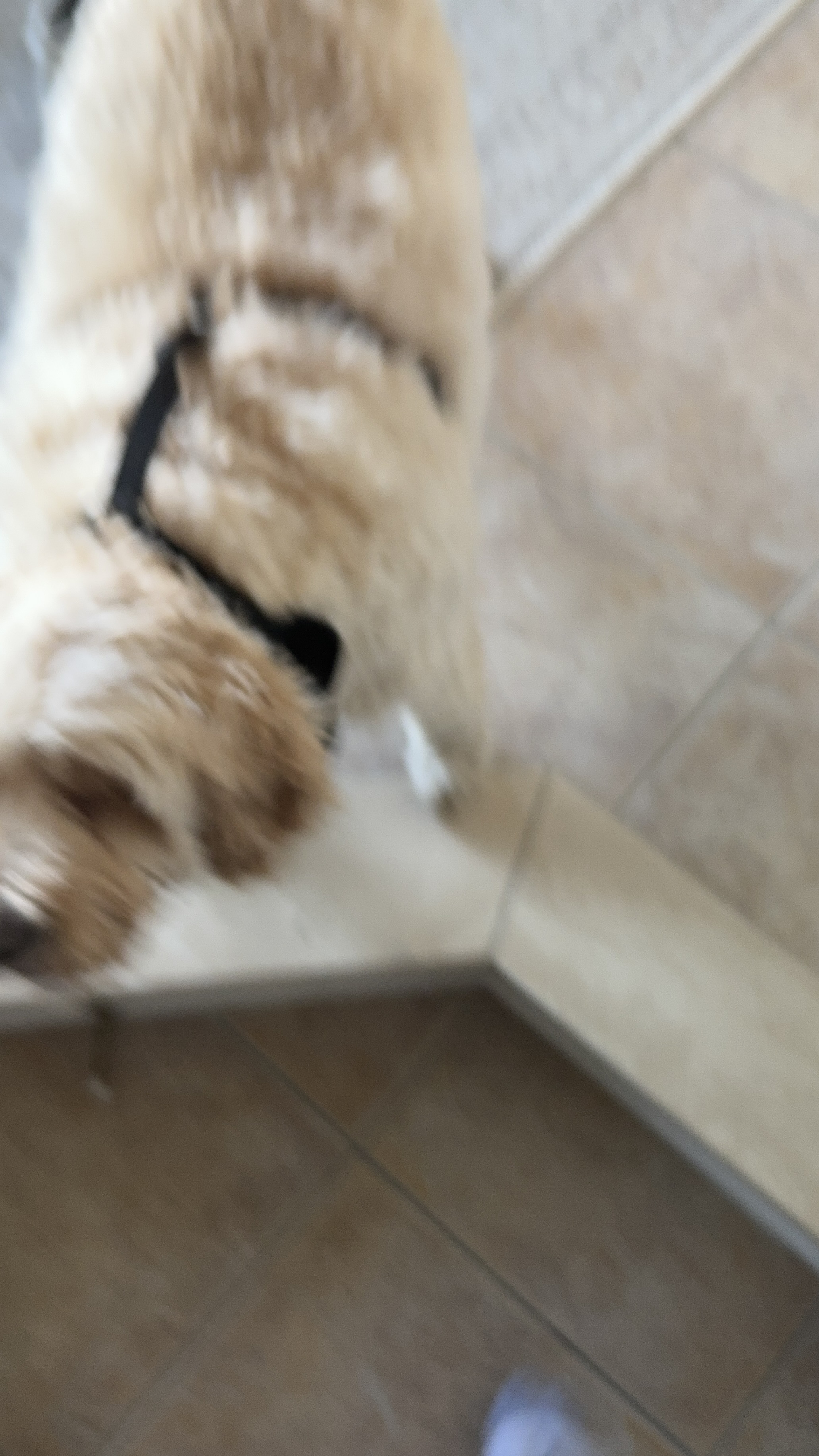 1779063858541 evlvza IMG 4525