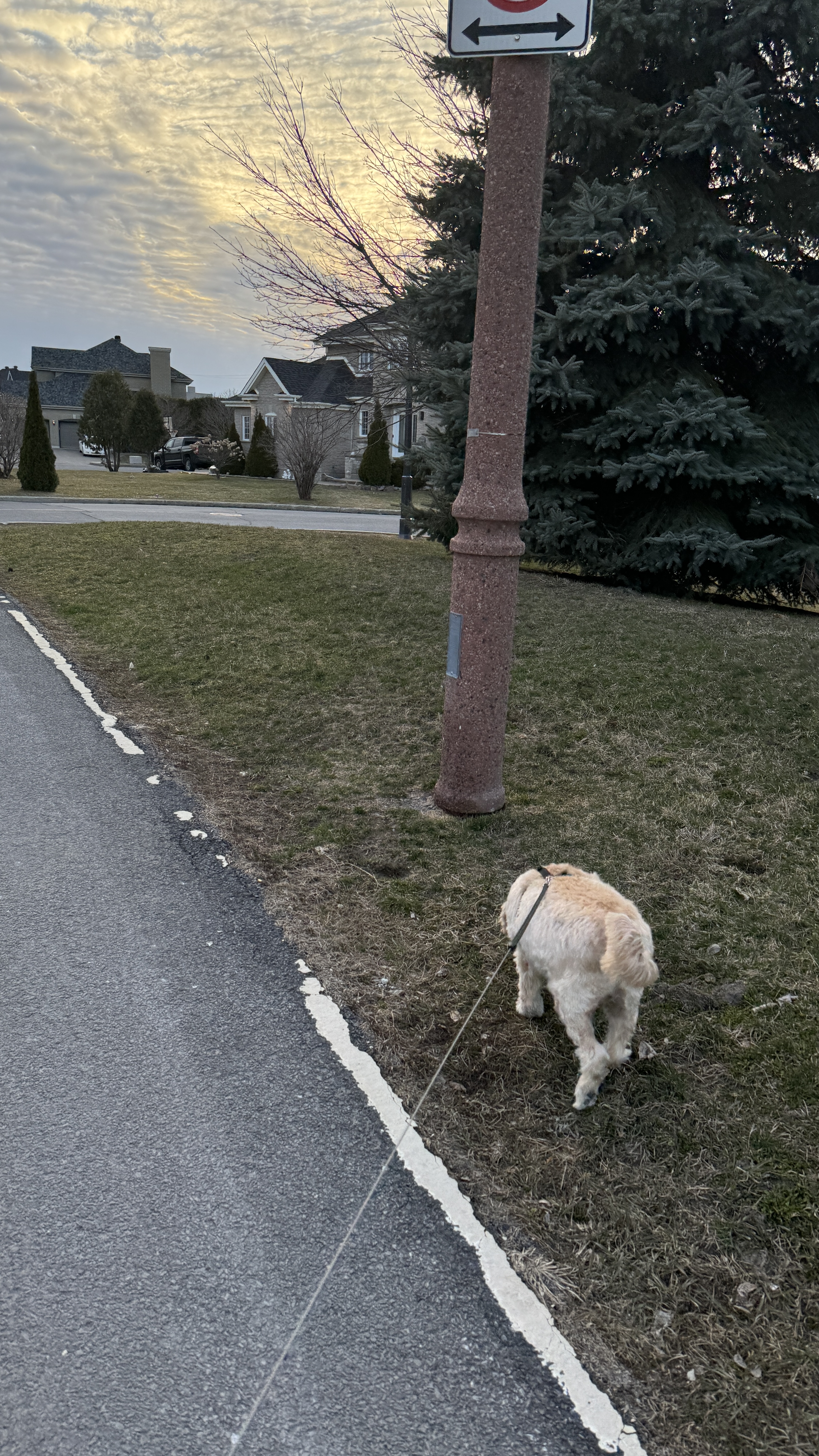 1779063859678 7l21x7 IMG 4351