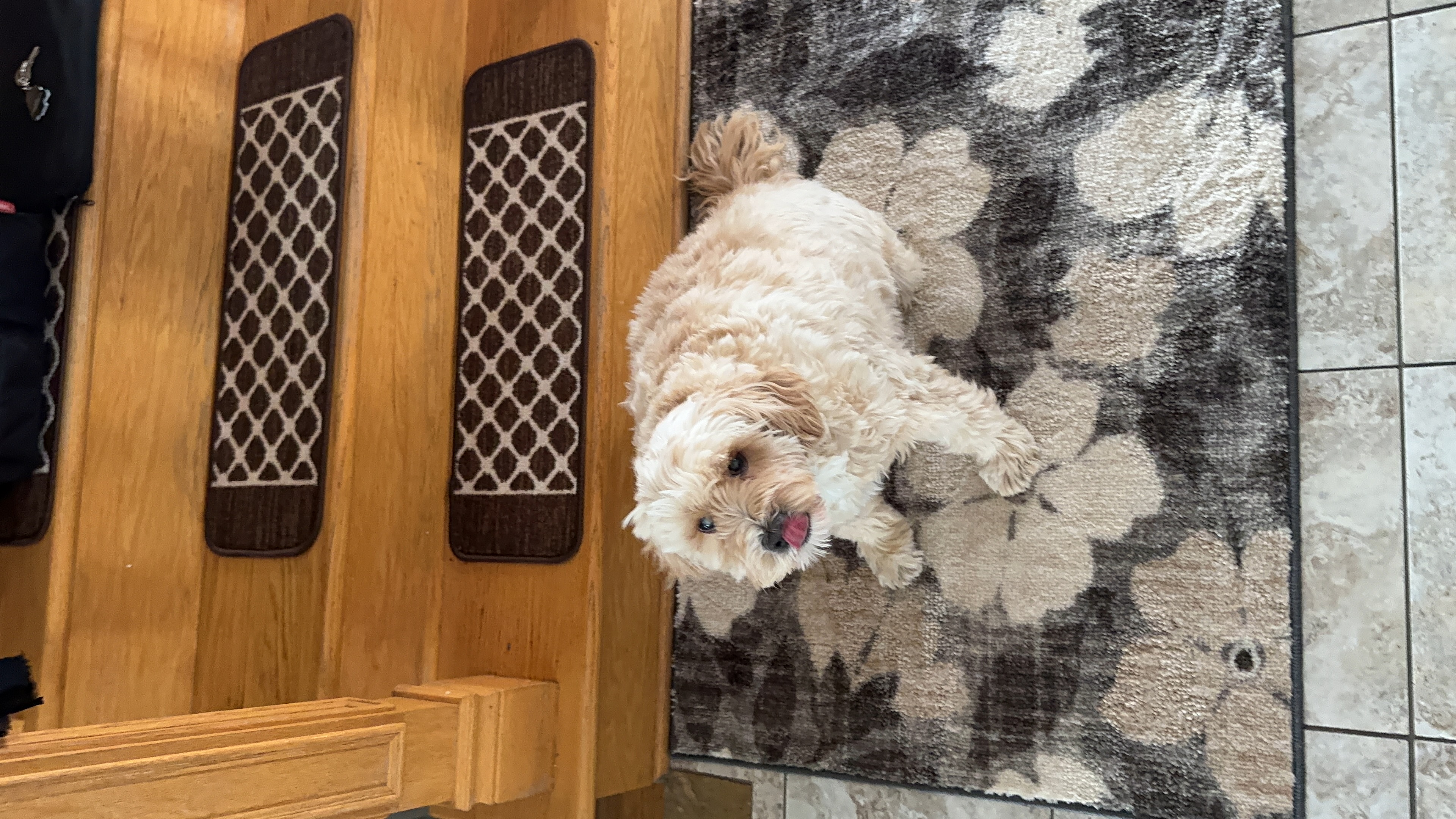 1779063878873 x393g3 IMG 2454