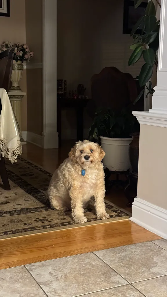 1779063885030 r0g36r IMG 2241 1 