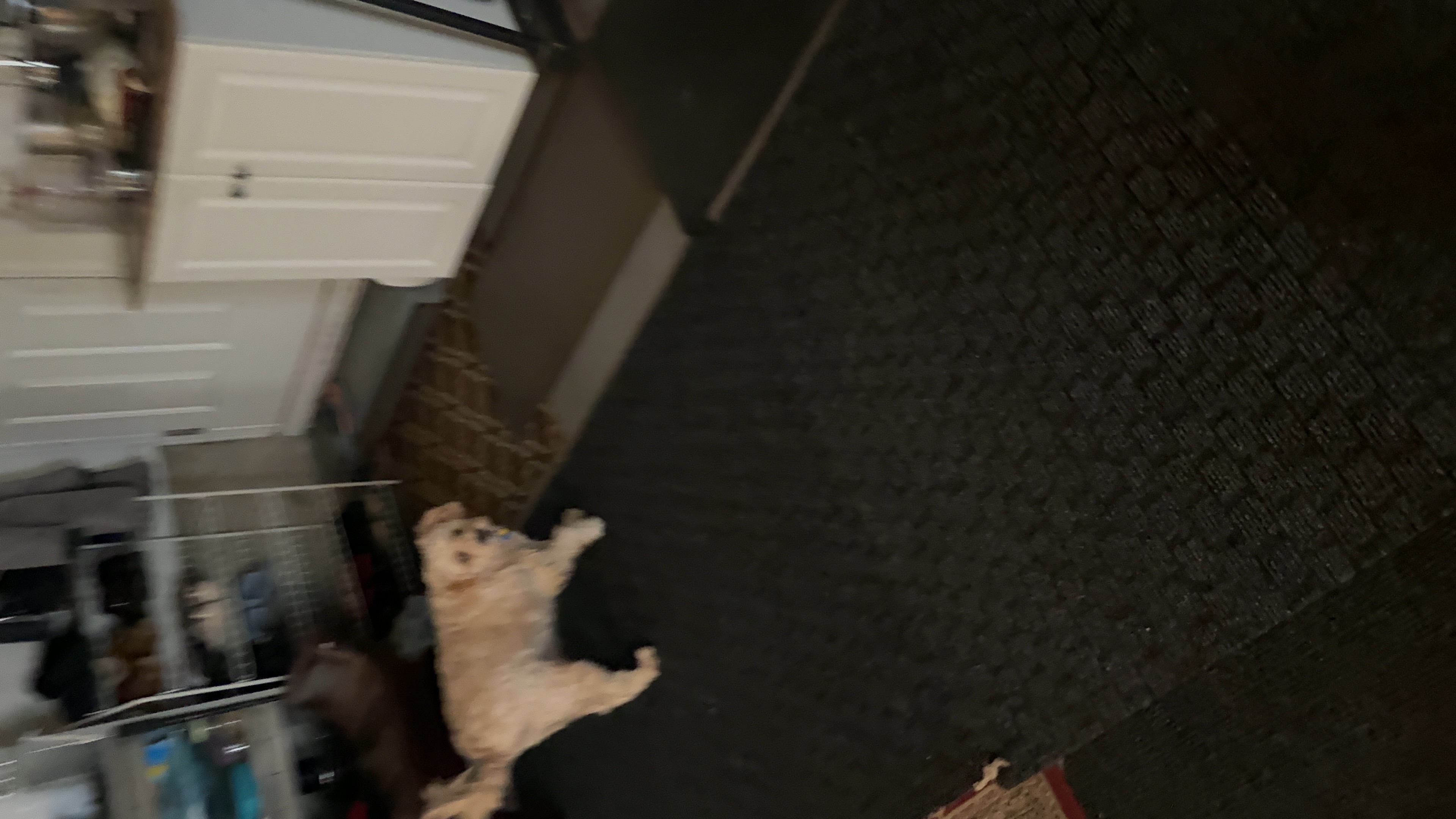 1779063885355 jb638i IMG 1979