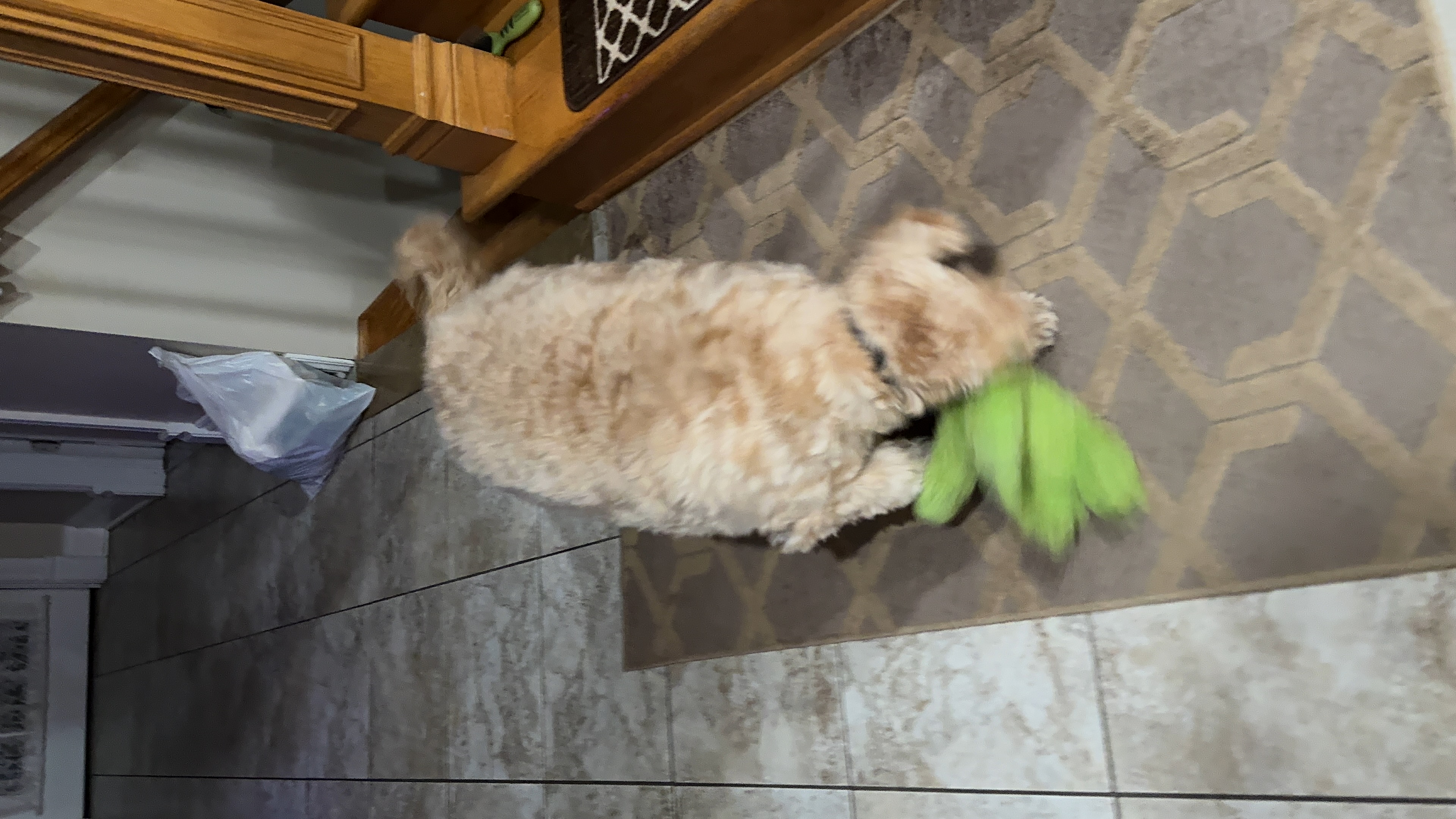 1779063886426 6rdllb IMG 1836