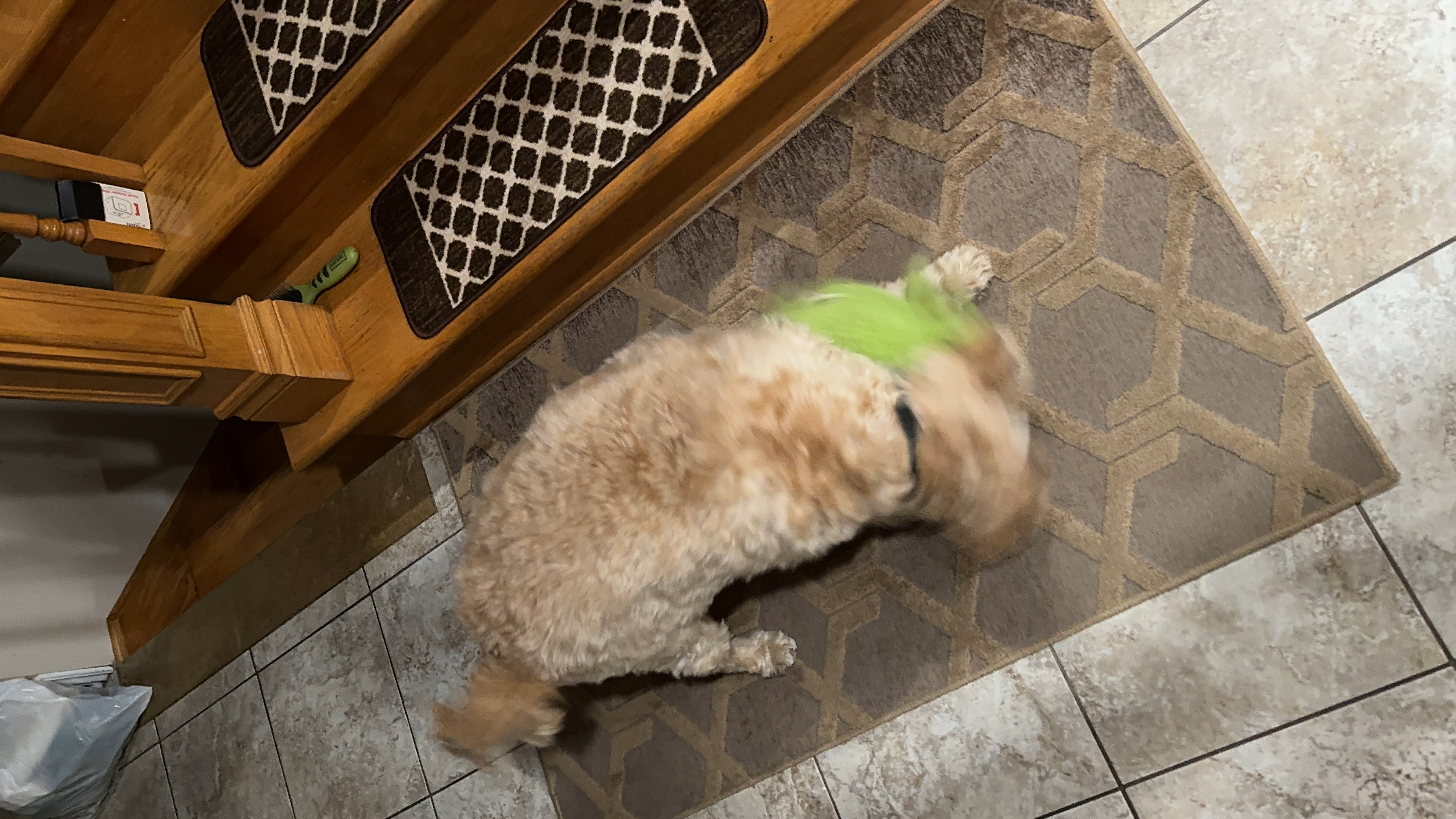 1779063887769 d1iofb IMG 1828 1 