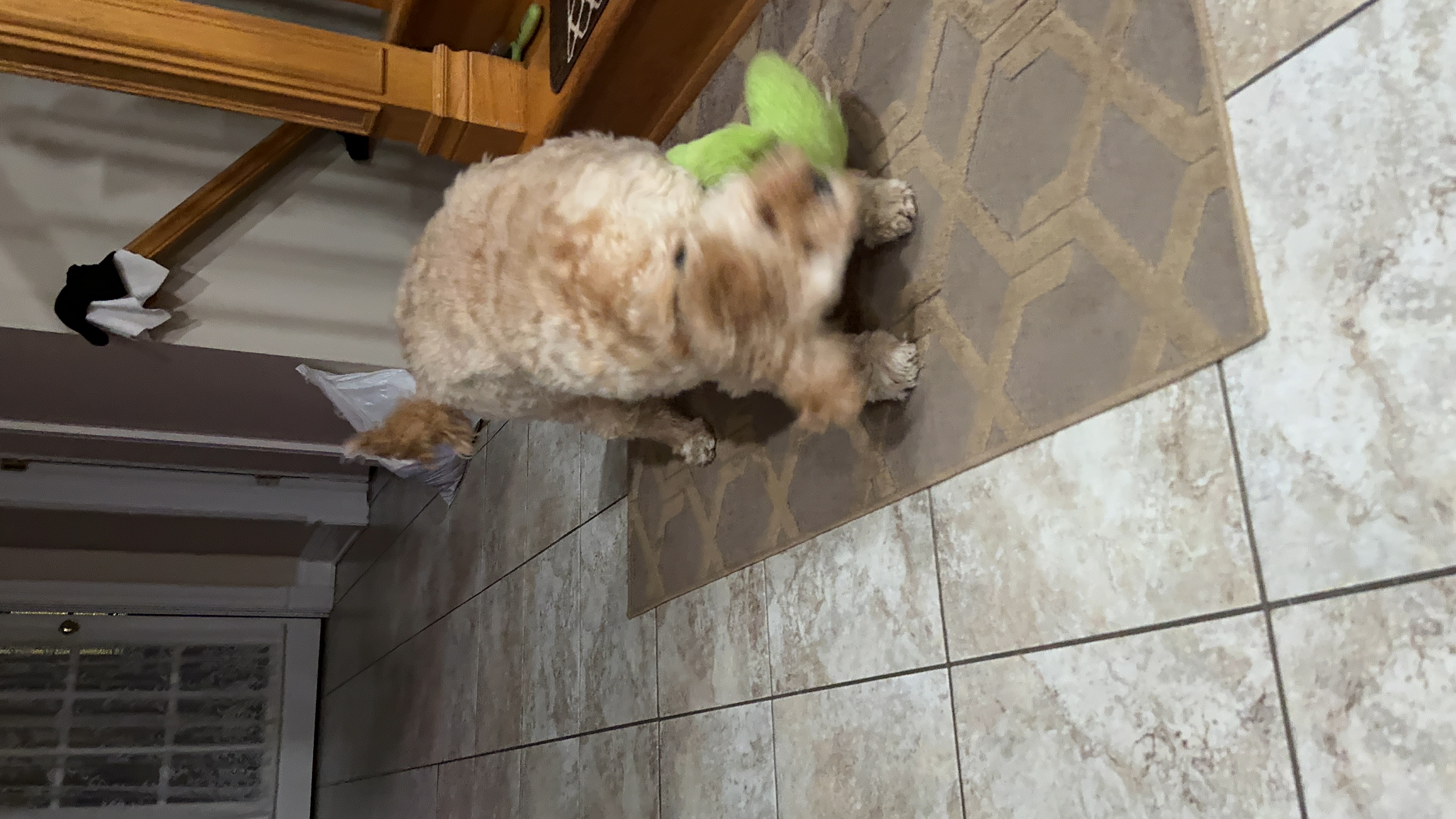 1779063903748 6otzxi IMG 1839