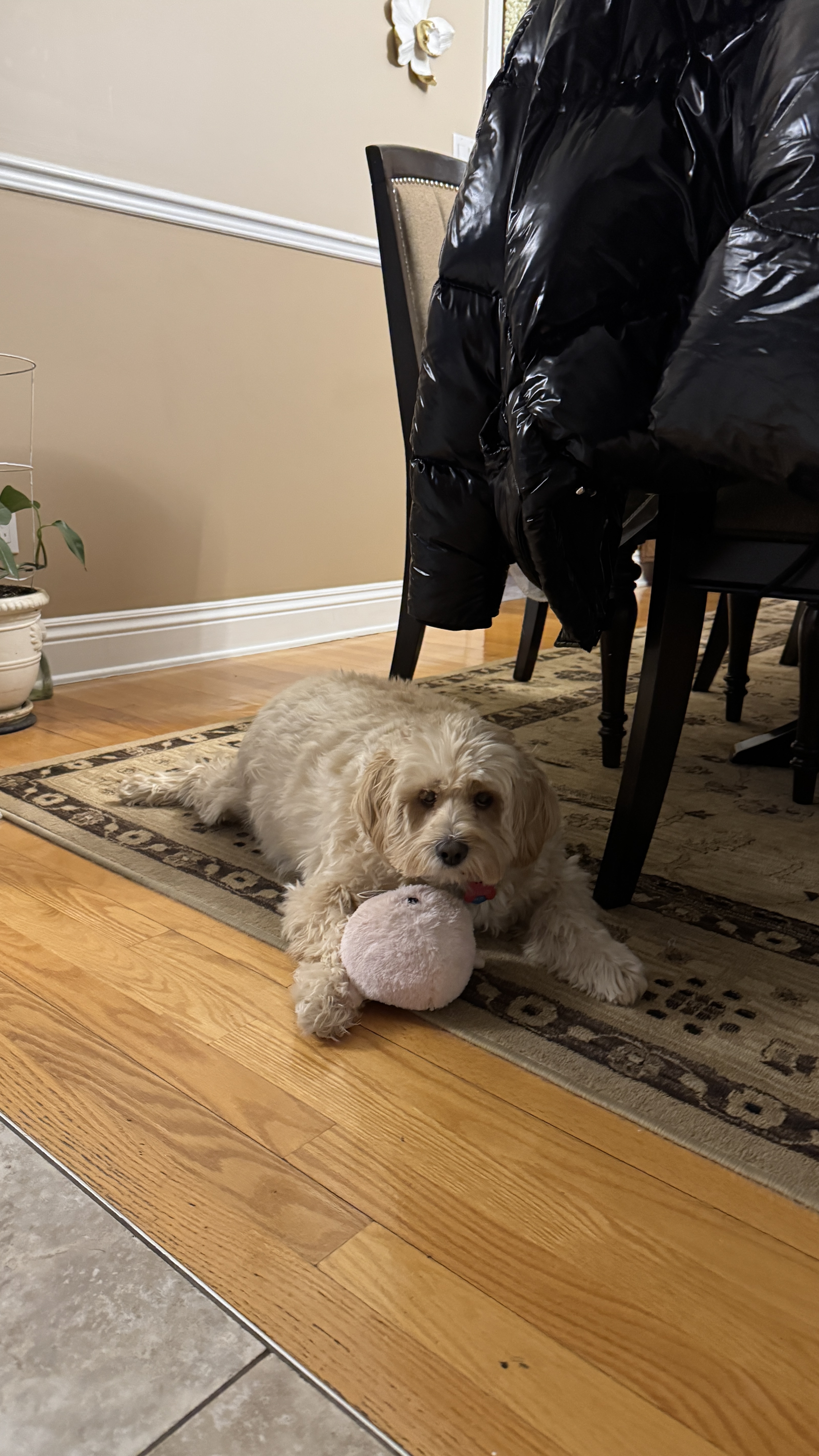 1779063914048 gx0g39 IMG 8121