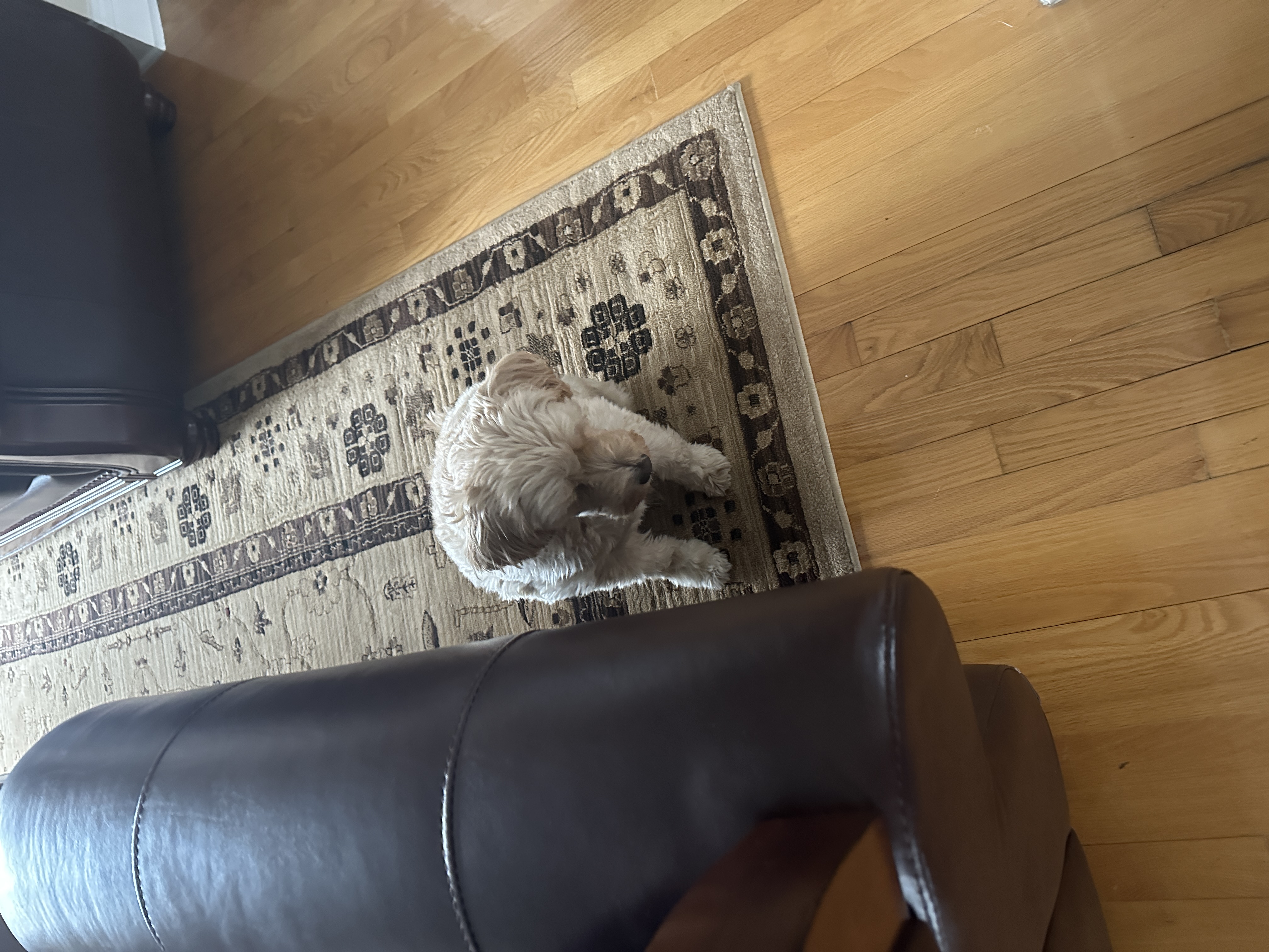 1779063924819 yeb3vv IMG 0730