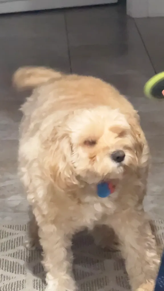 1779063929070 92ddgp IMG 3067