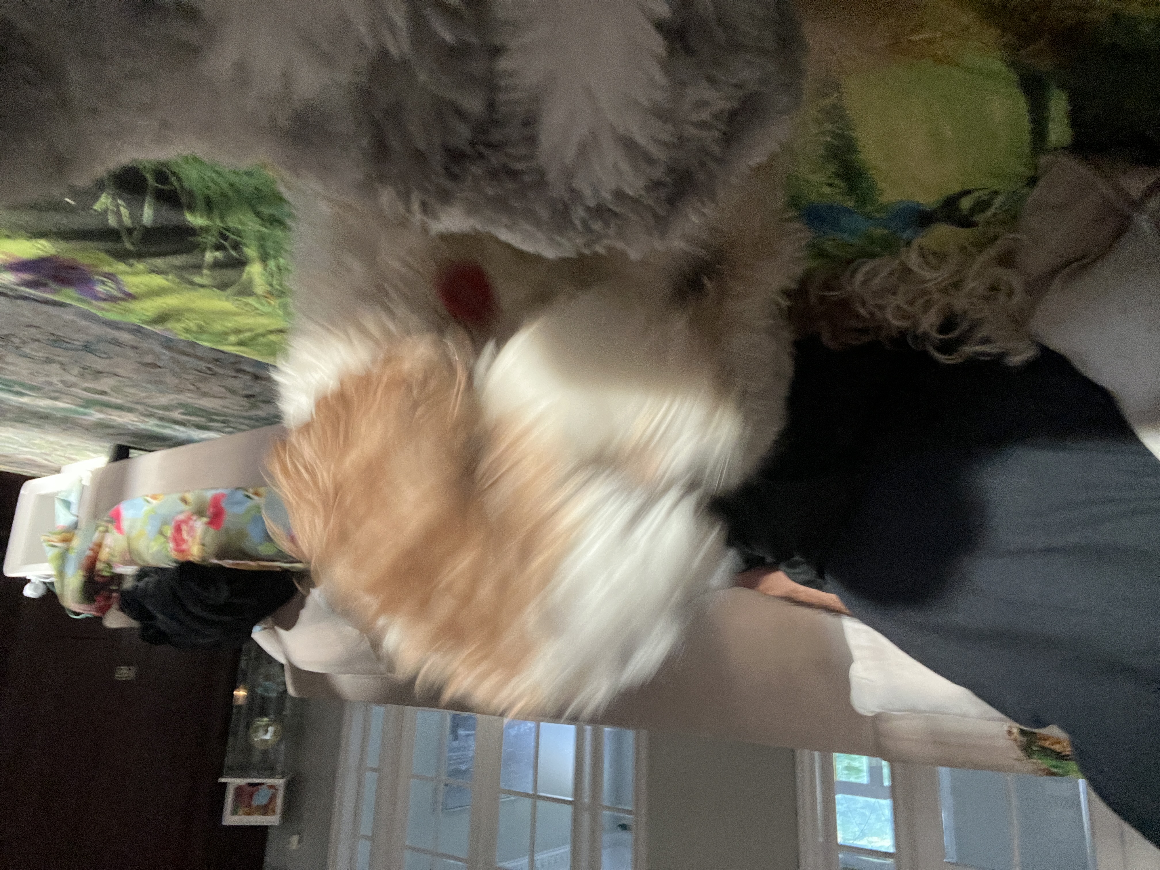 1779063947666 9uqggq IMG 6416