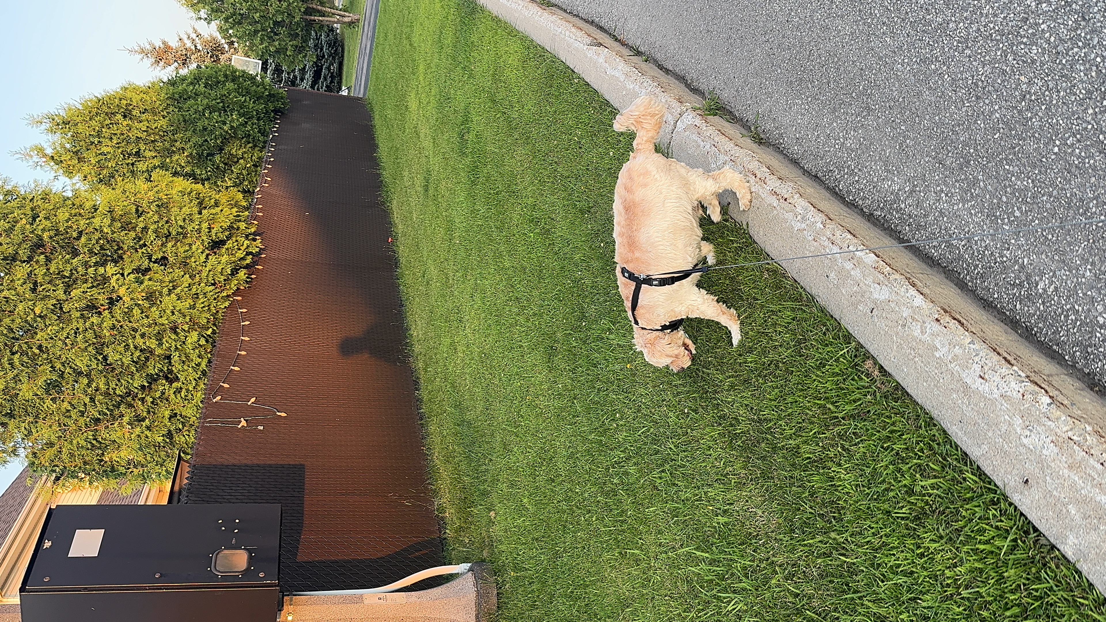 1779063947772 uk1g4x IMG 0340