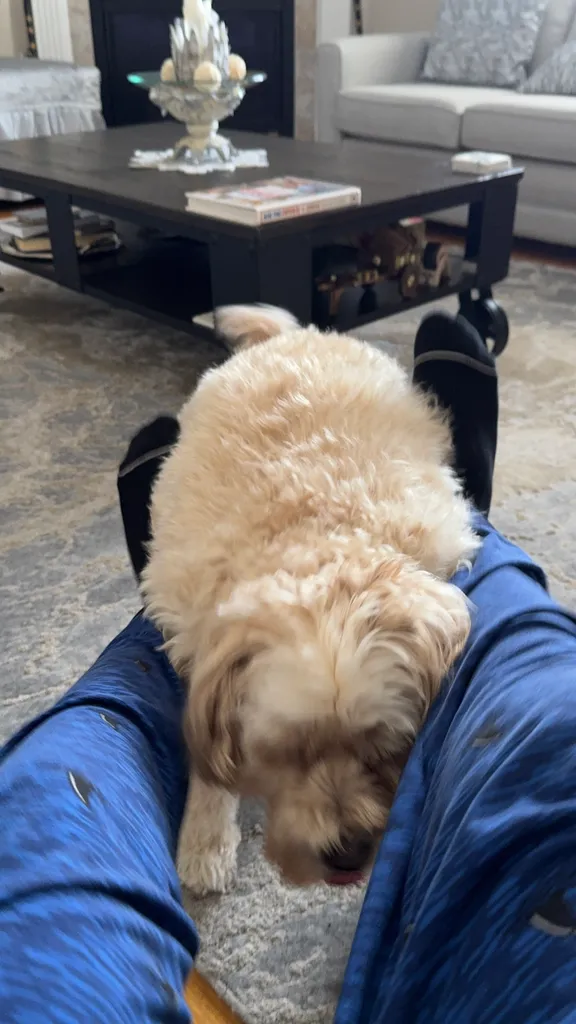 1779063956142 umzmyo IMG 8253