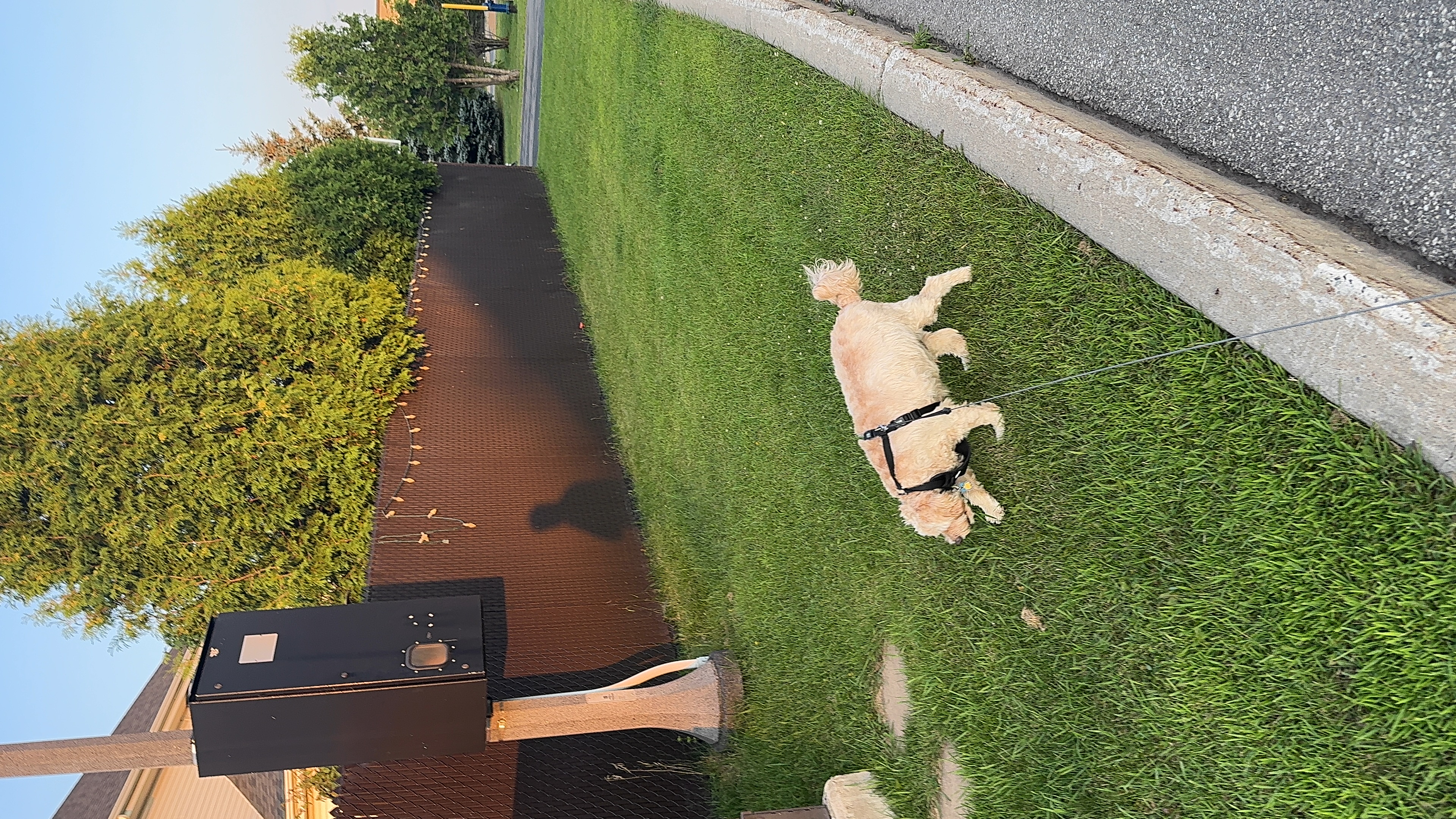 1779063975725 ehmr1k IMG 0341