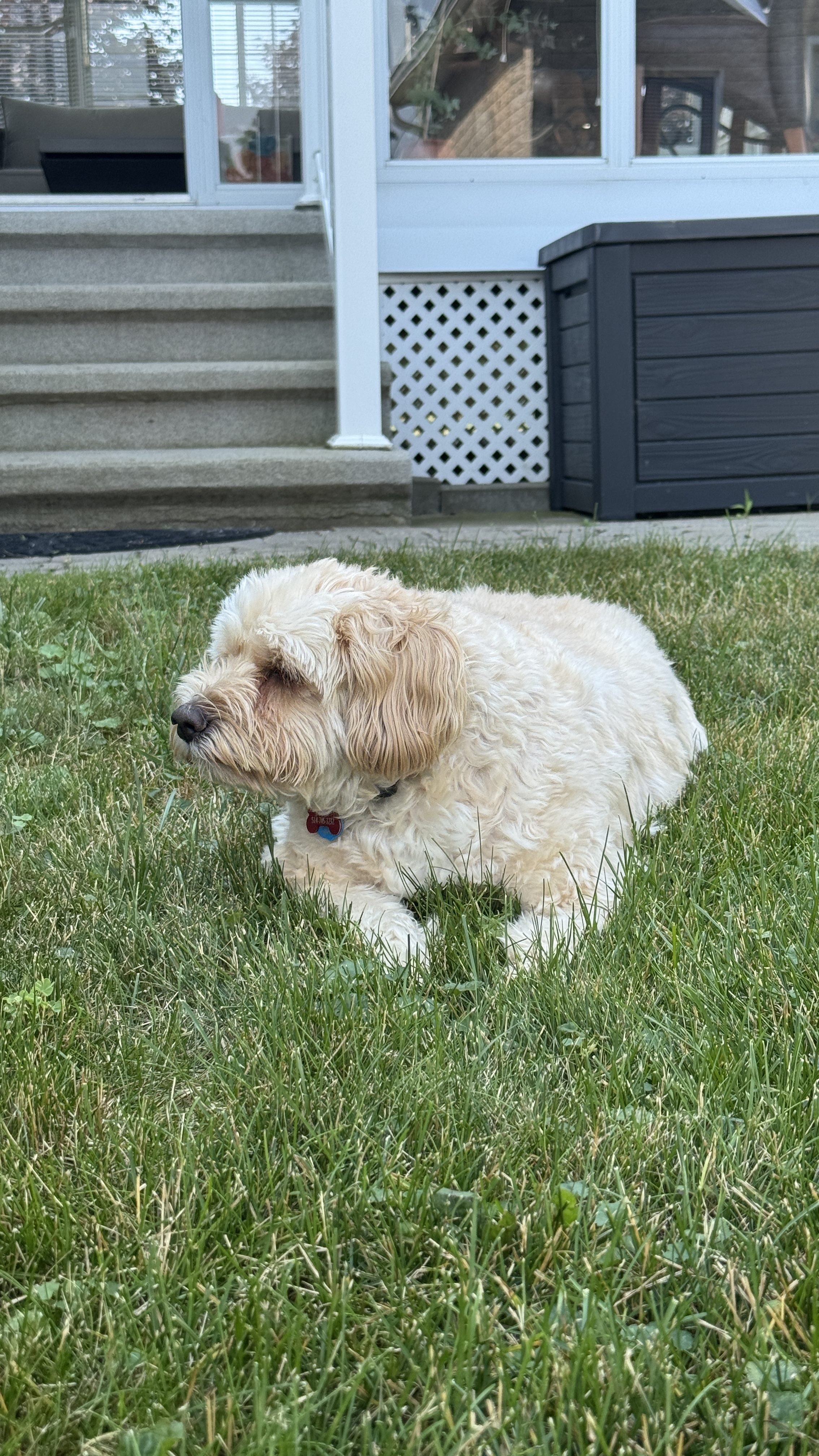 1779063977791 p7r1mx IMG 5761